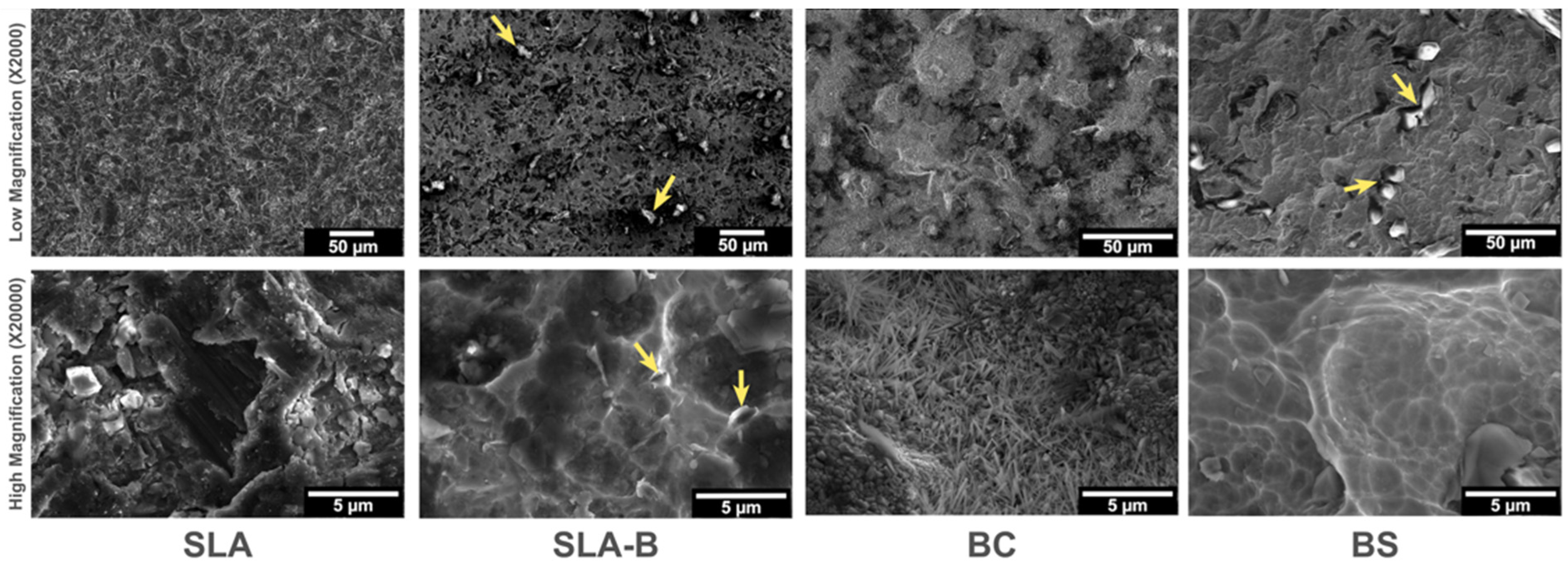Bioengineering 09 00705 g003 Bioengineering 09 00705 g003