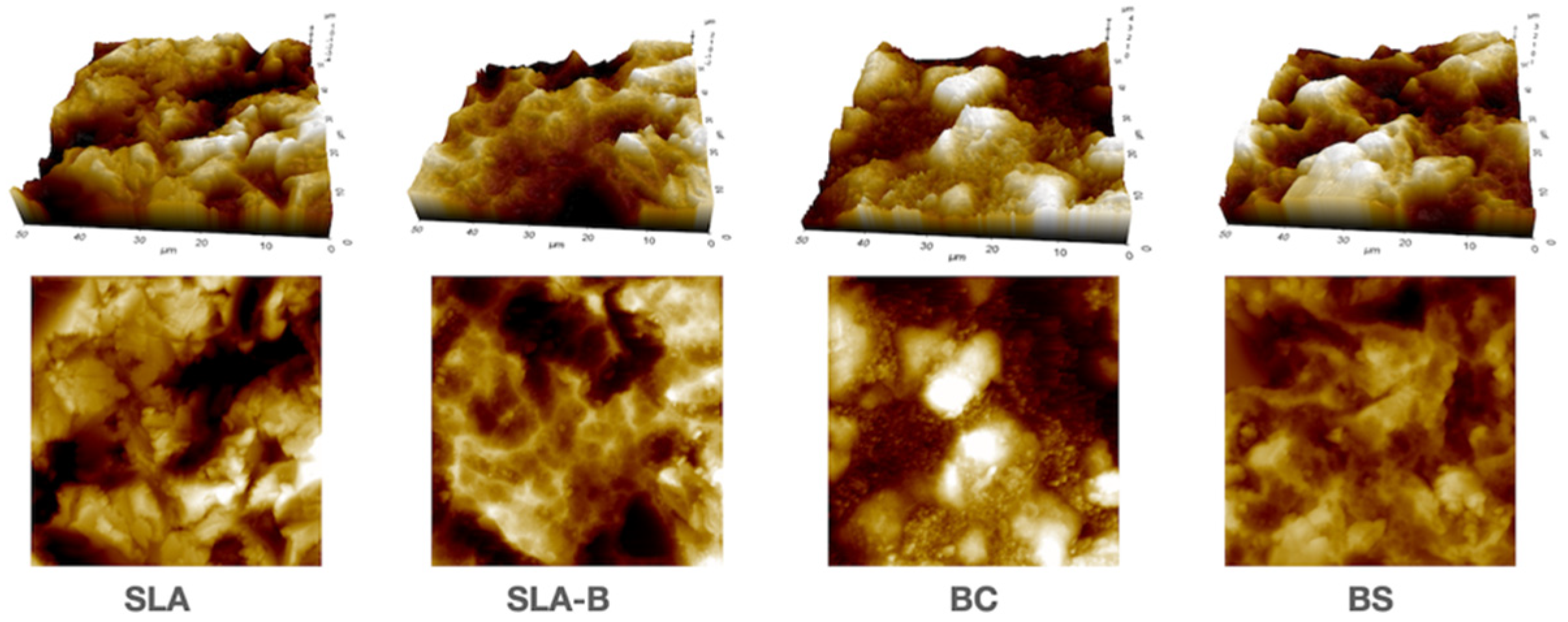 Bioengineering 09 00705 g004 Bioengineering 09 00705 g004