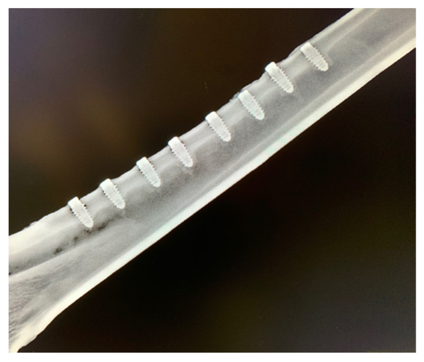 Bioengineering 09 00705 g009 Bioengineering 09 00705 g009