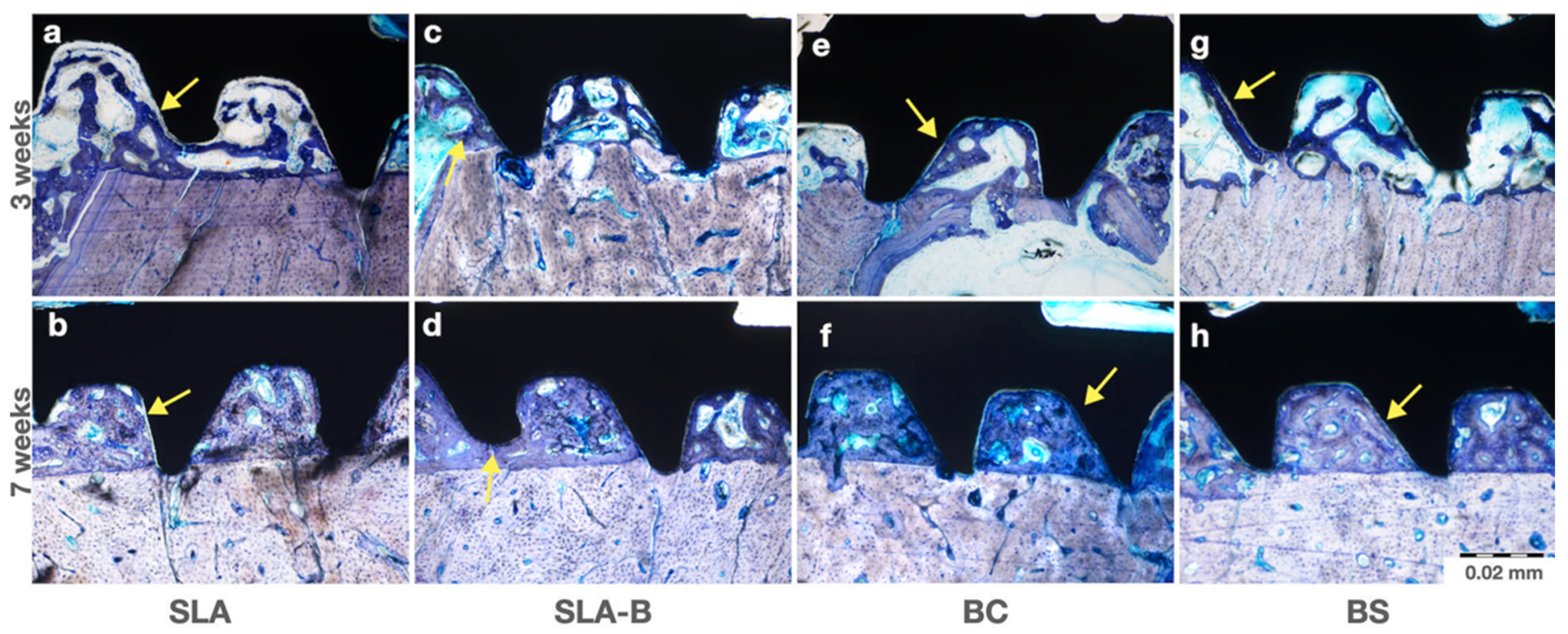 Bioengineering 09 00705 g011 Bioengineering 09 00705 g011