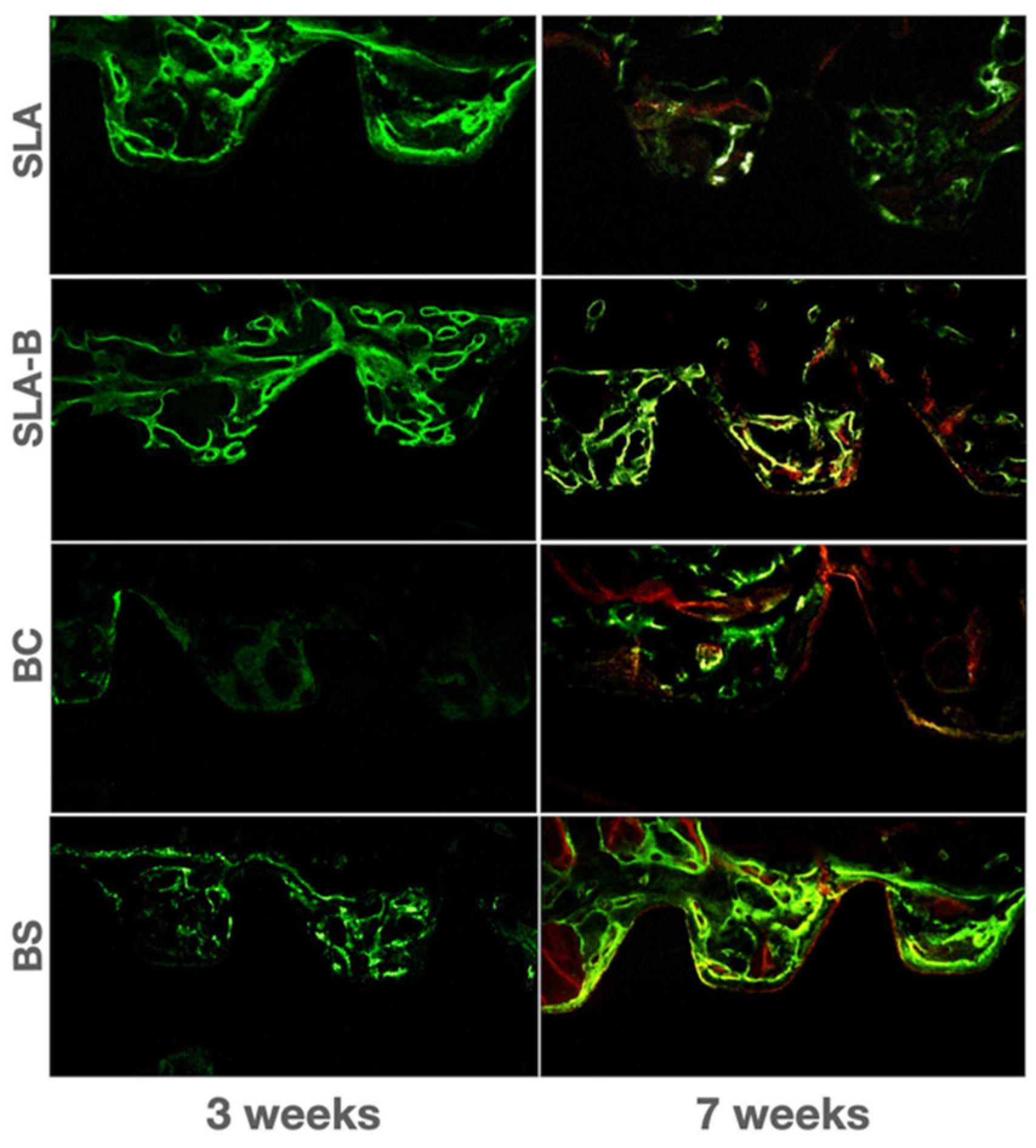 Bioengineering 09 00705 g012 Bioengineering 09 00705 g012