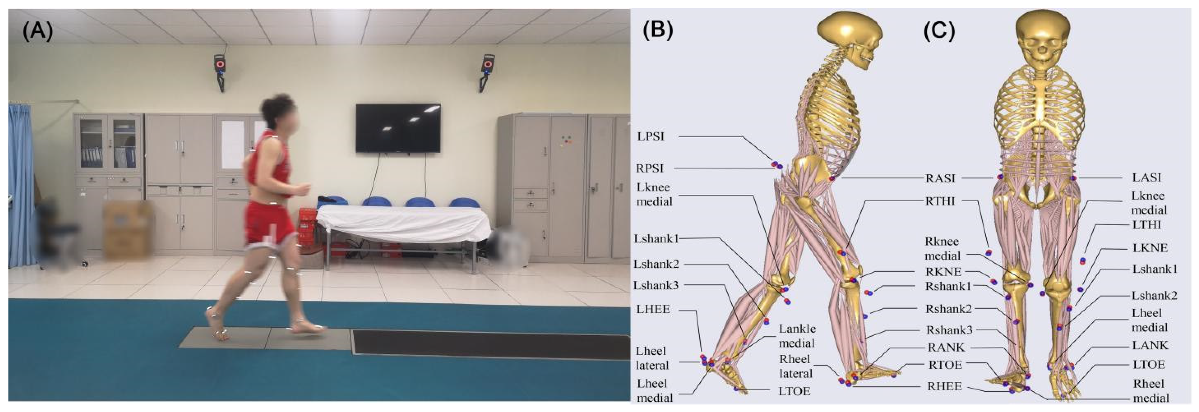 Bioengineering 09 00716 g001