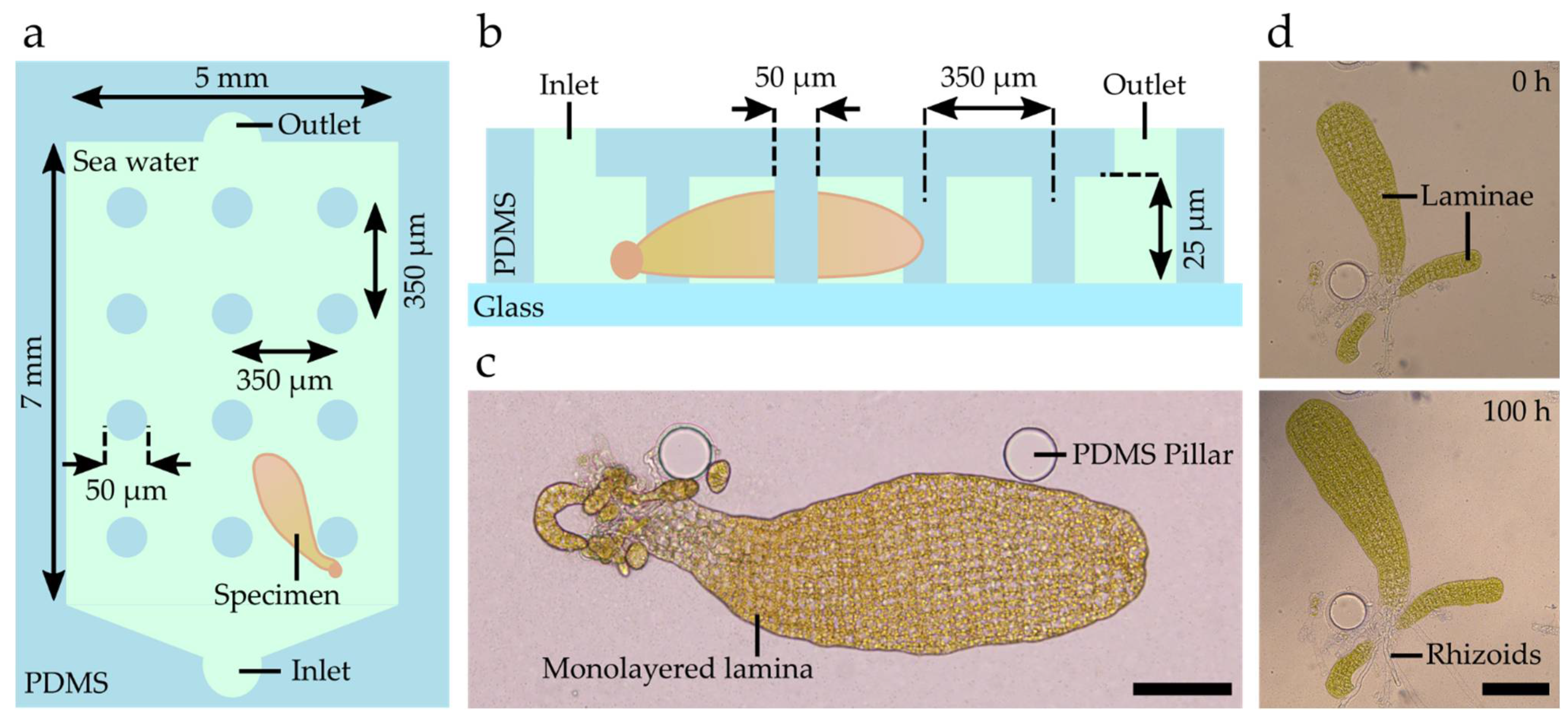 Bioengineering 09 00718 g002