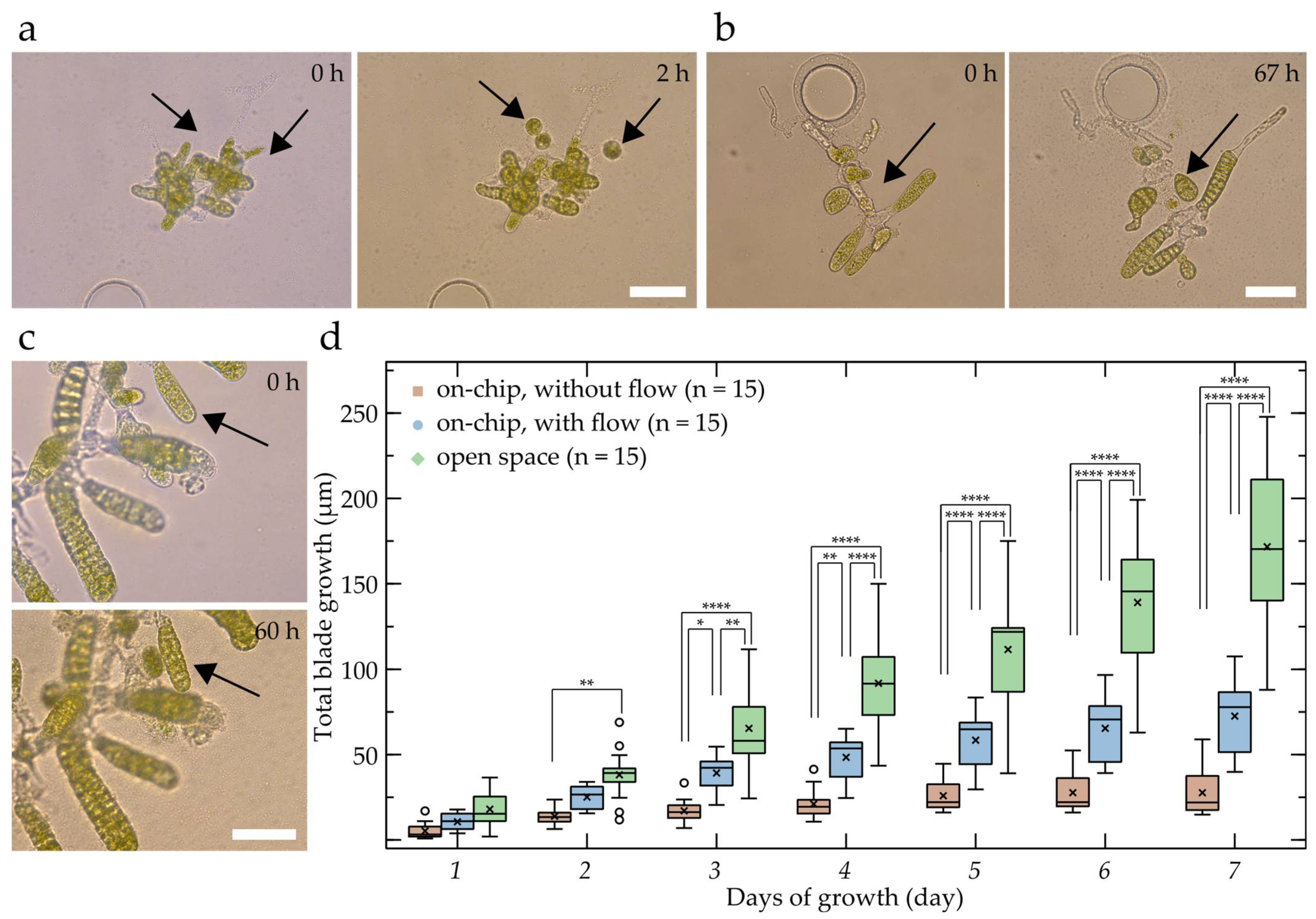 Bioengineering 09 00718 g003