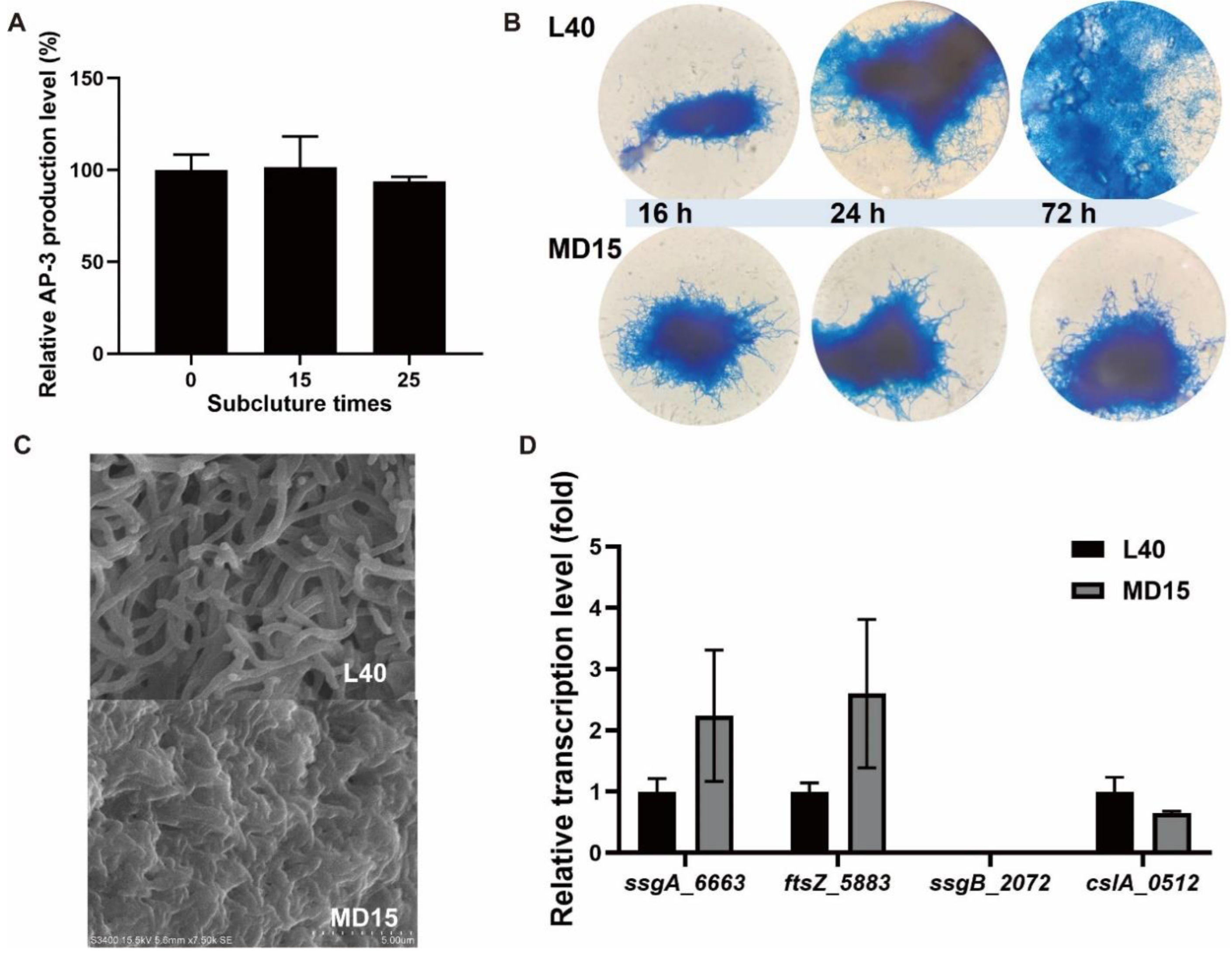 Bioengineering 09 00719 g001