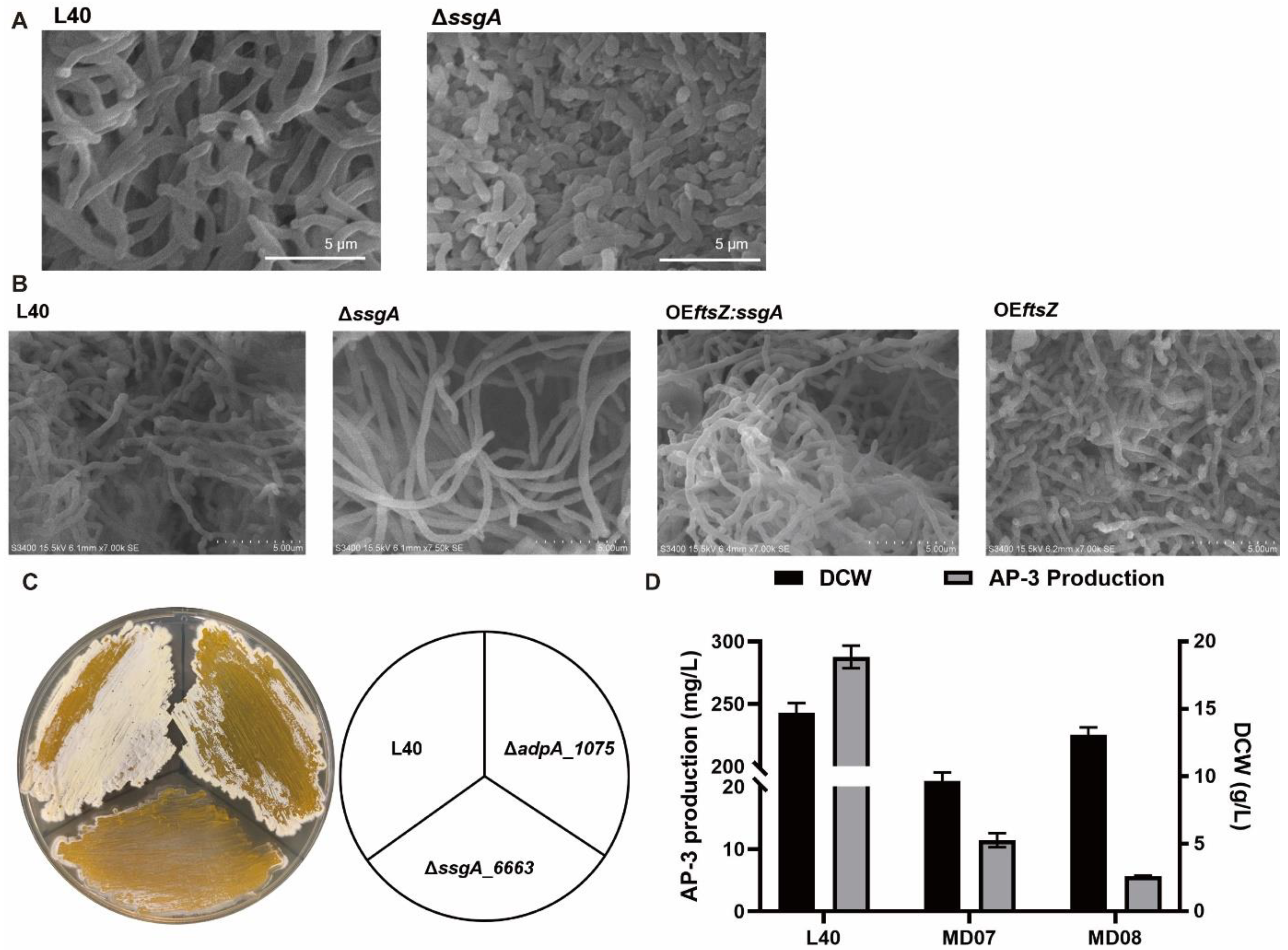 Bioengineering 09 00719 g002