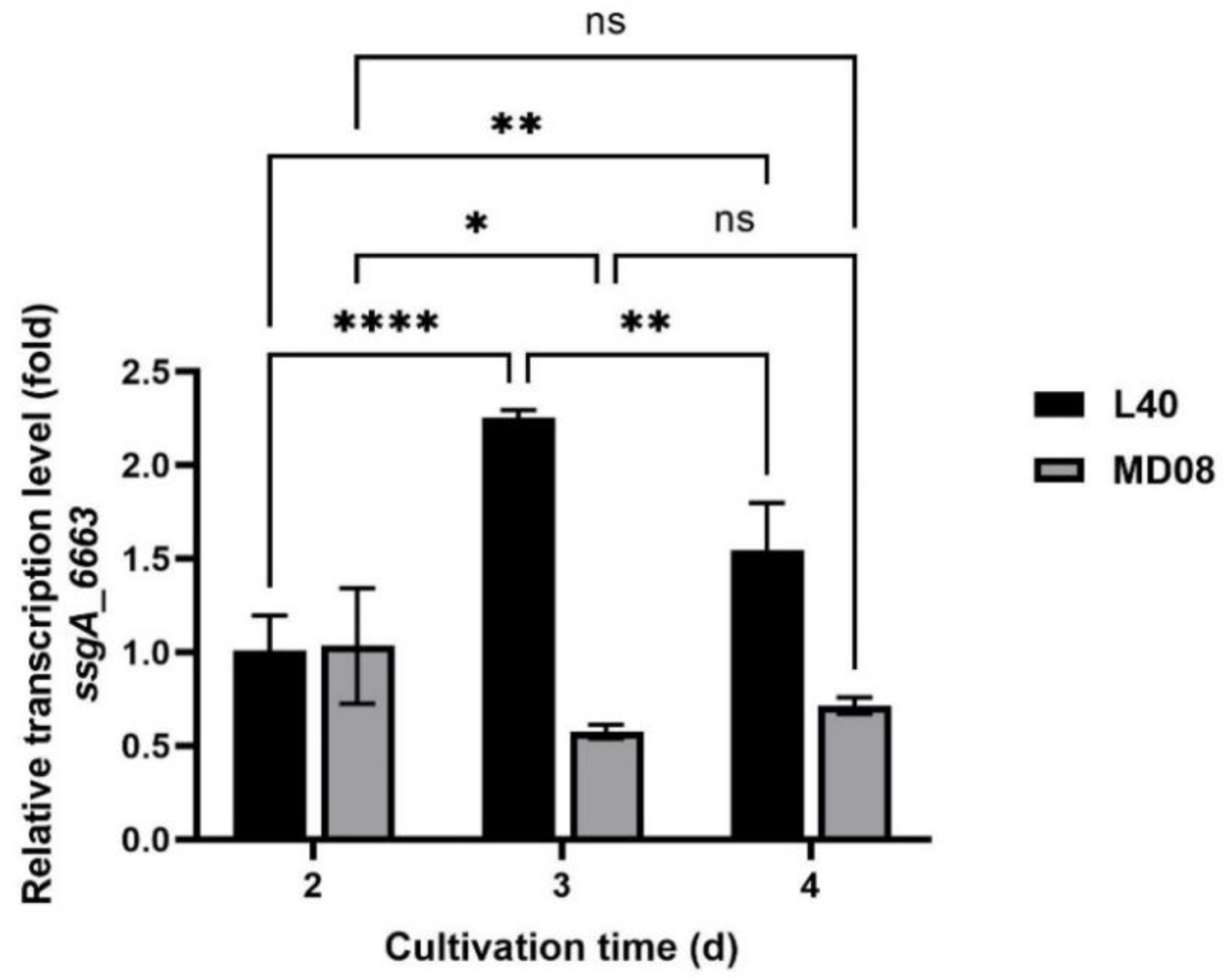 Bioengineering 09 00719 g004