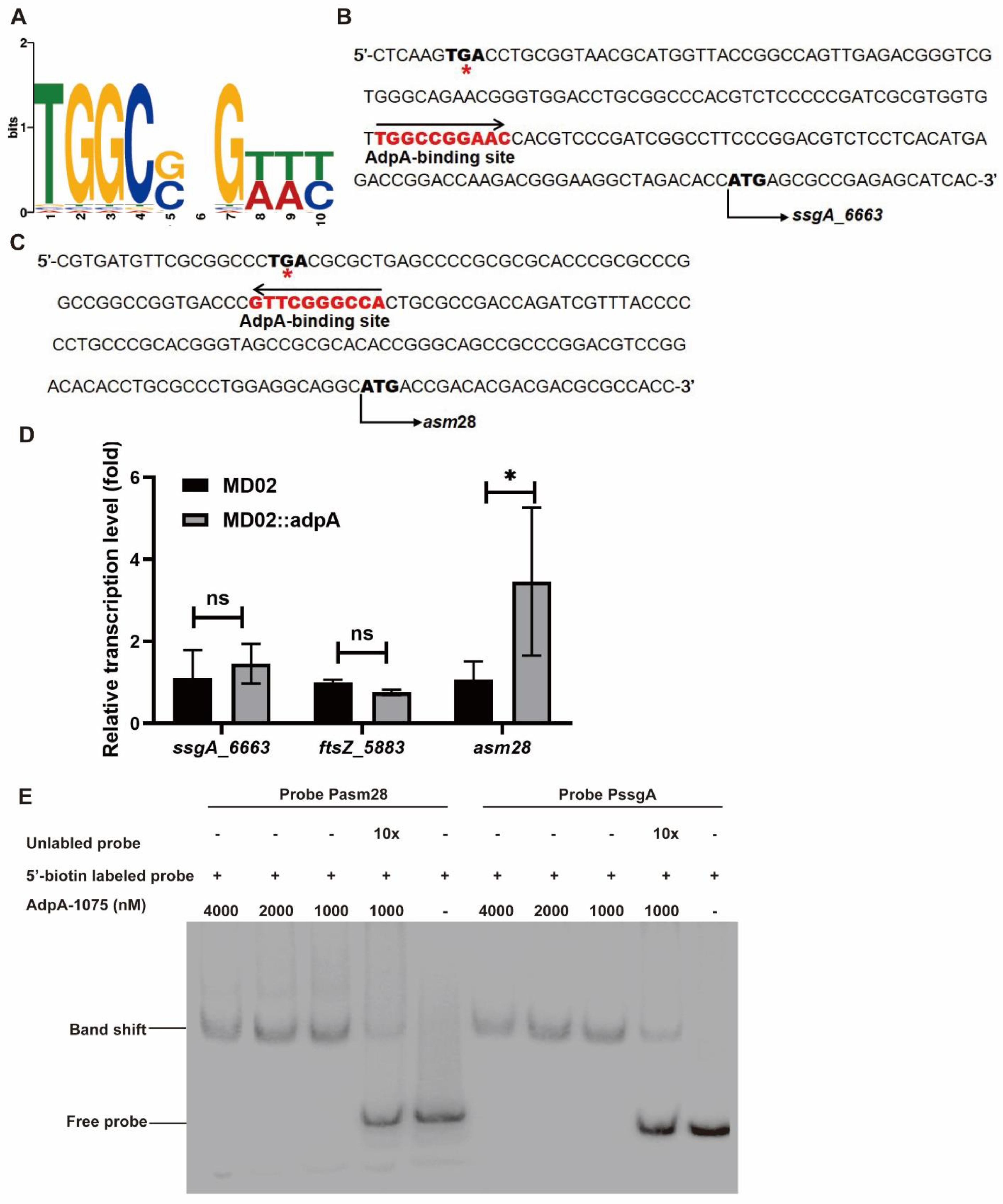 Bioengineering 09 00719 g005