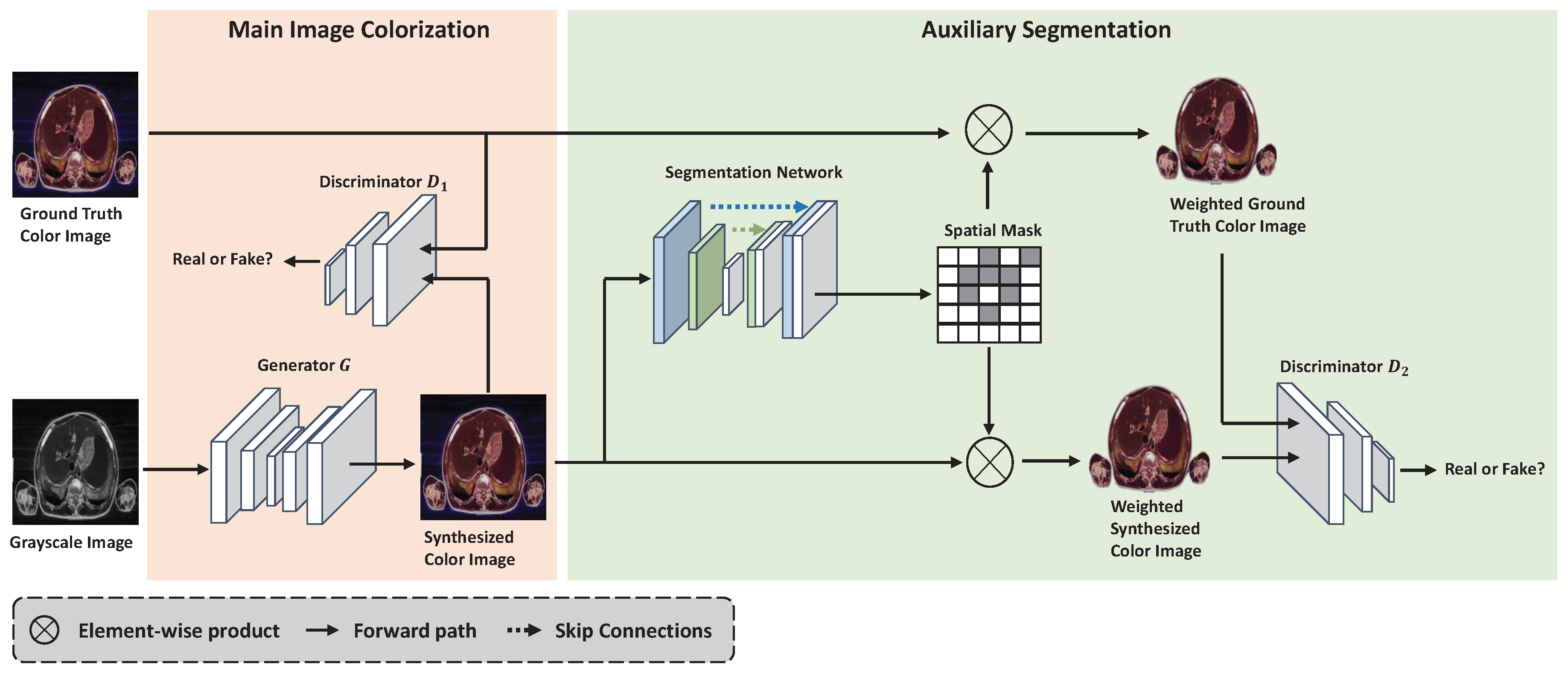 Bioengineering 09 00721 g001