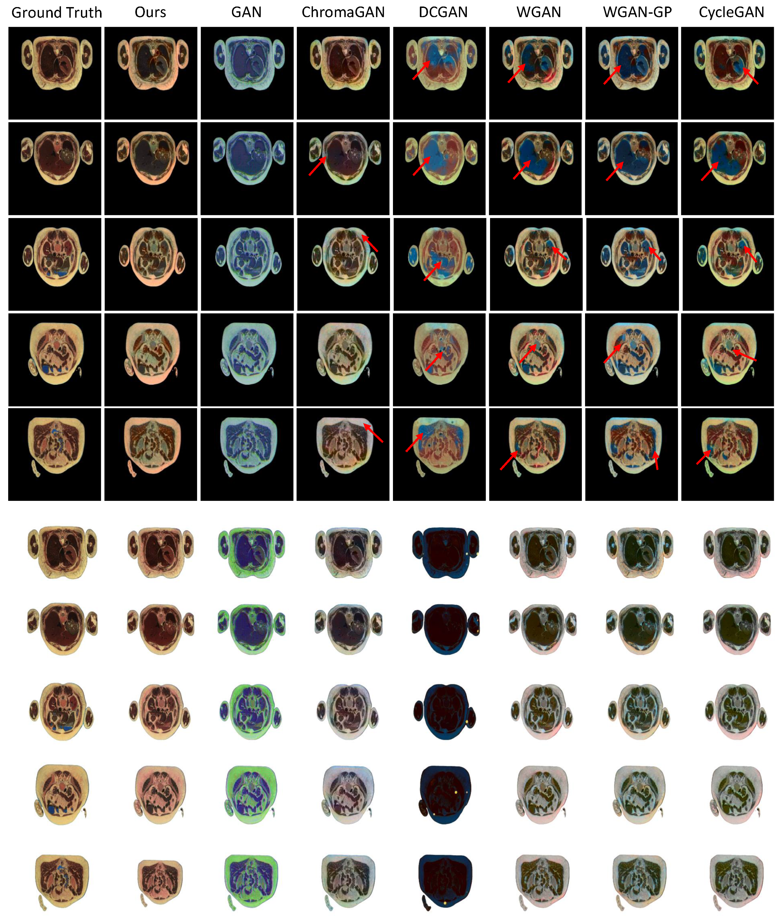 Bioengineering 09 00721 g002