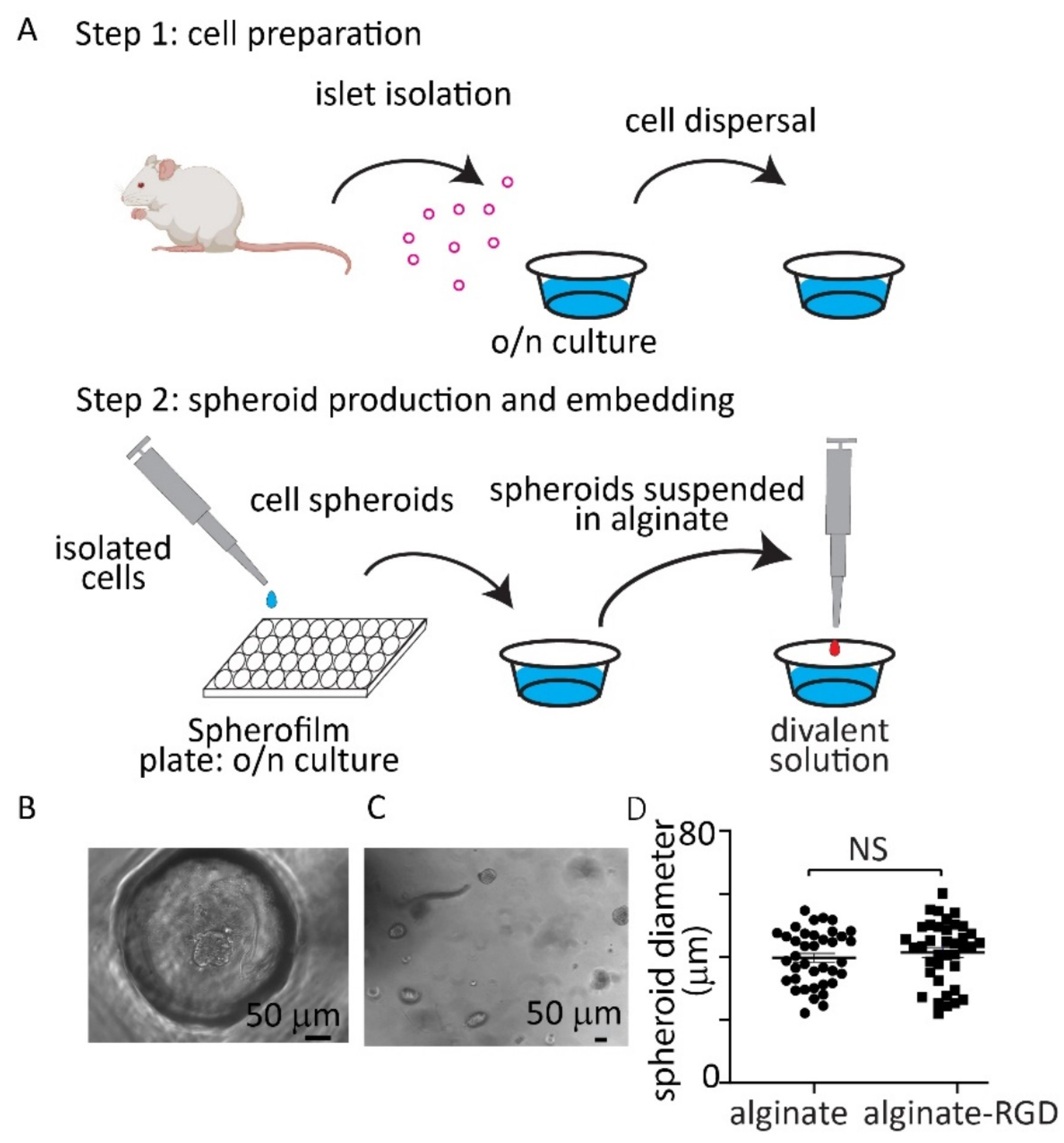 Bioengineering 09 00722 g001 Bioengineering 09 00722 g001
