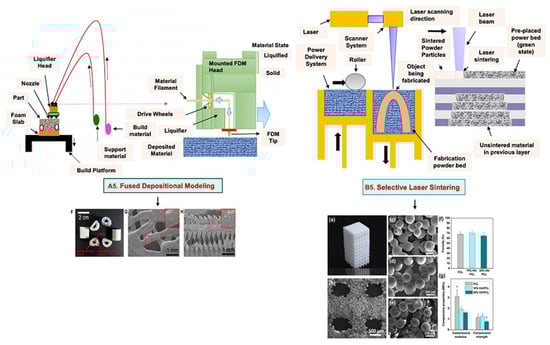 Bioengineering 09 00728 g005