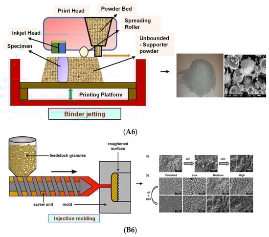Bioengineering 09 00728 g006