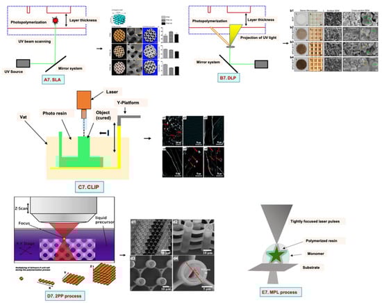 Bioengineering 09 00728 g007