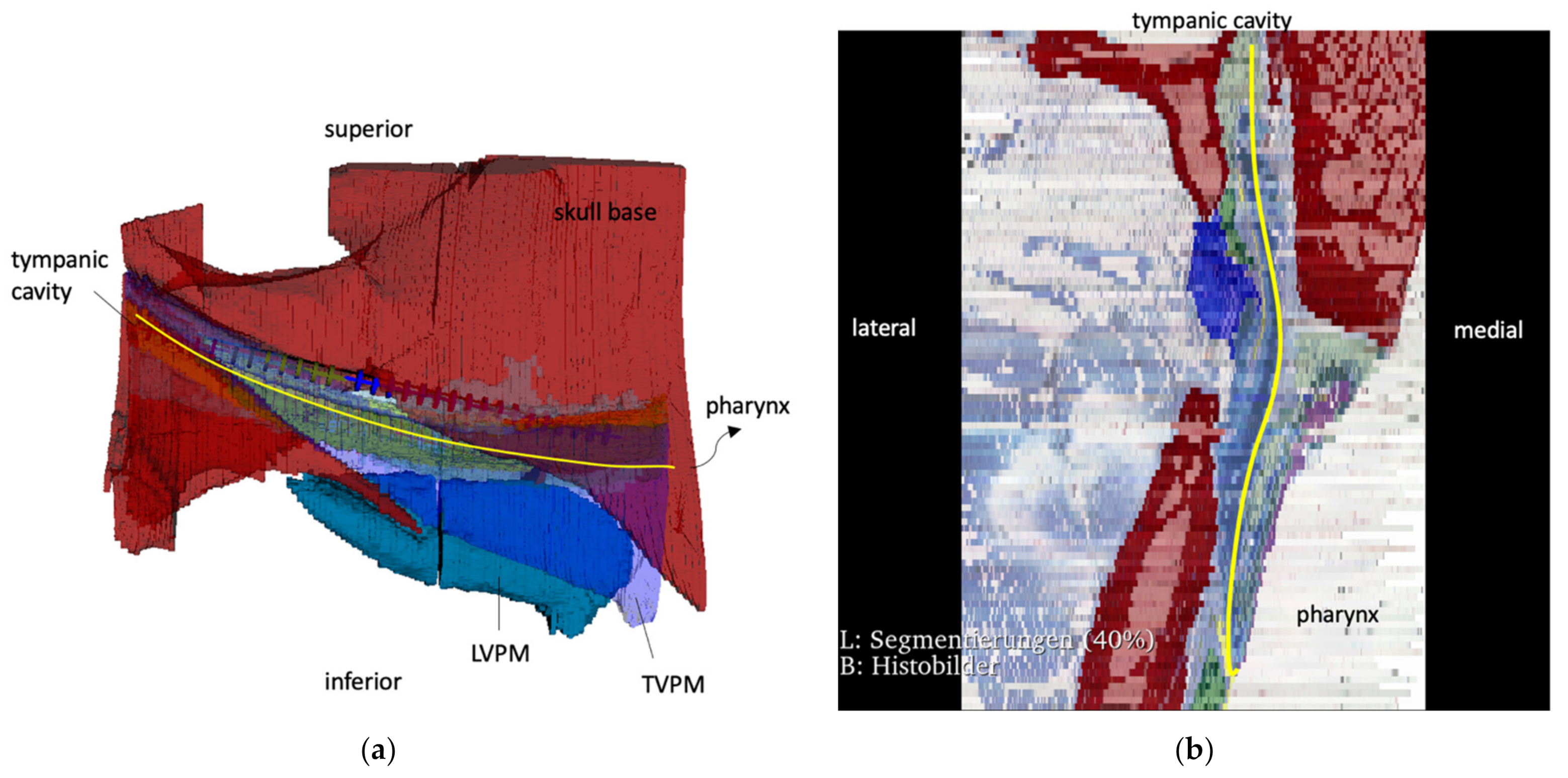 Bioengineering 09 00733 g005