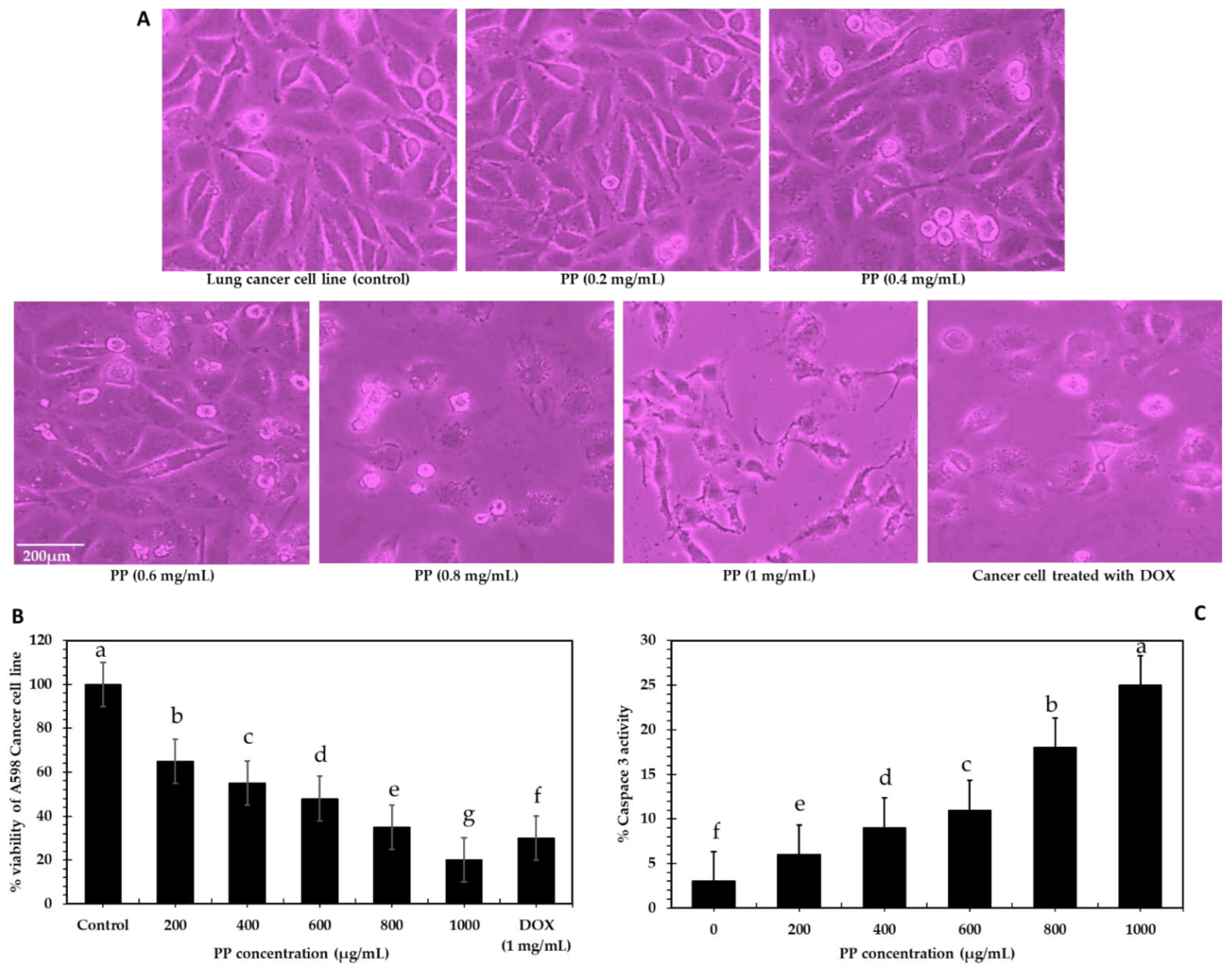 Bioengineering 09 00735 g003