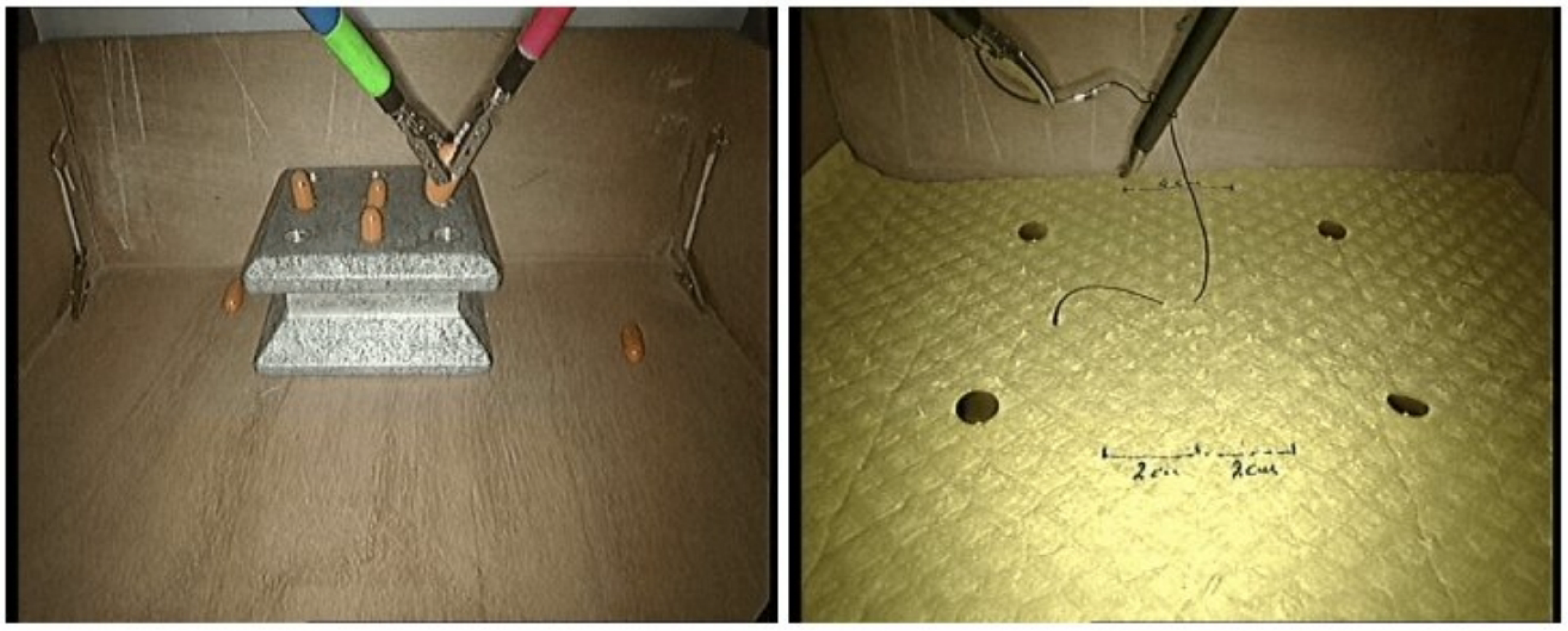 Bioengineering 09 00737 g001 Bioengineering 09 00737 g001