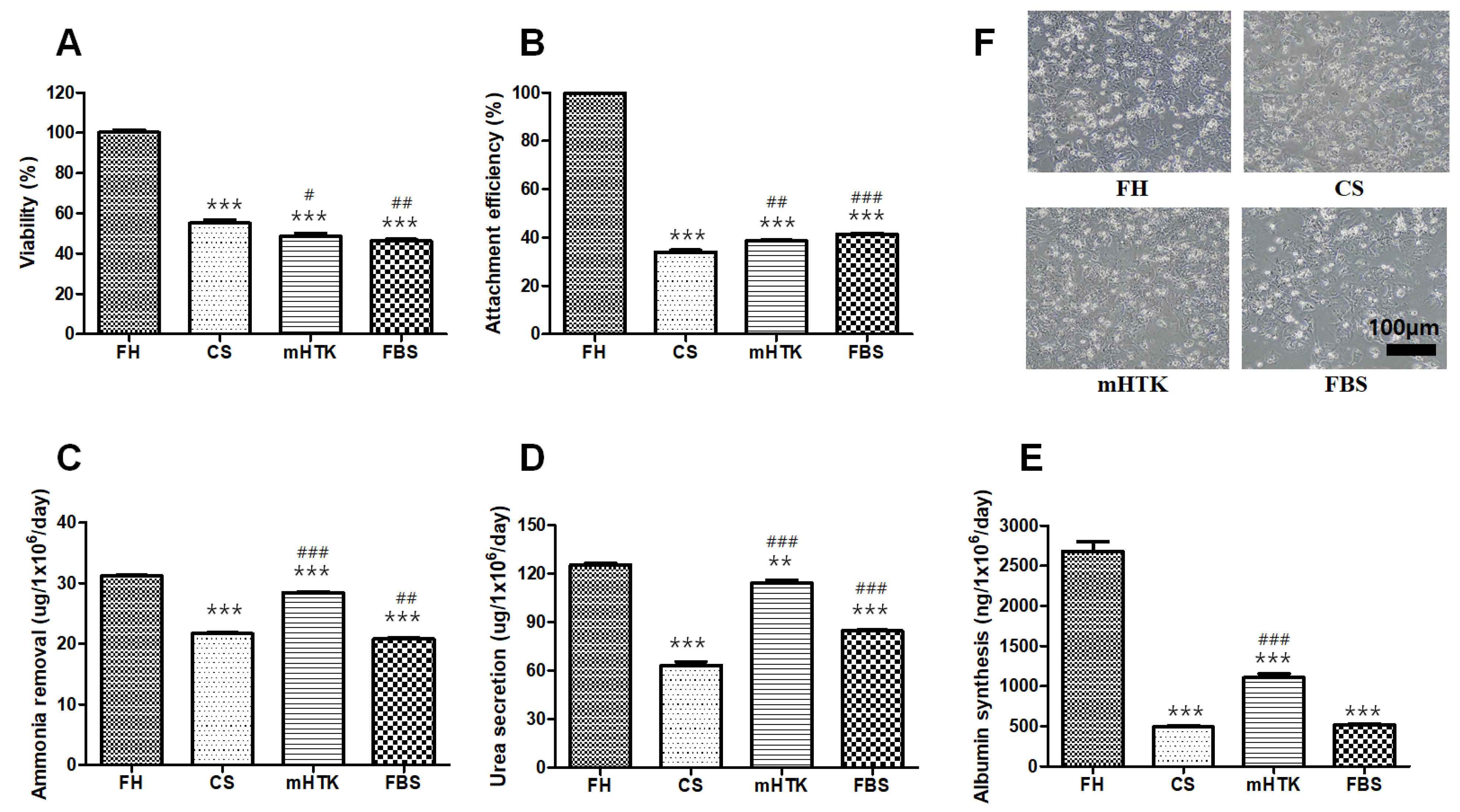 Bioengineering 09 00738 g002