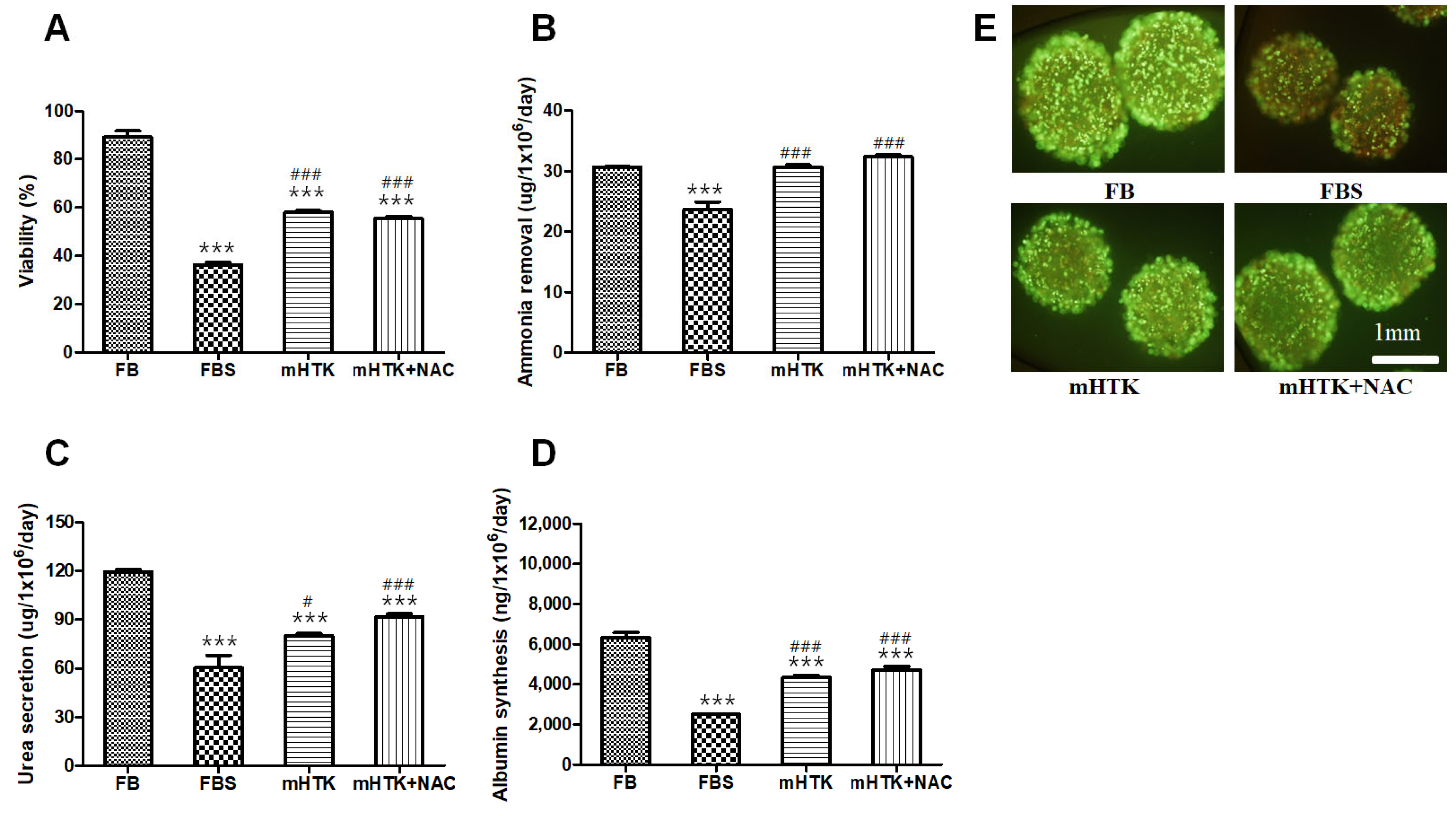 Bioengineering 09 00738 g004