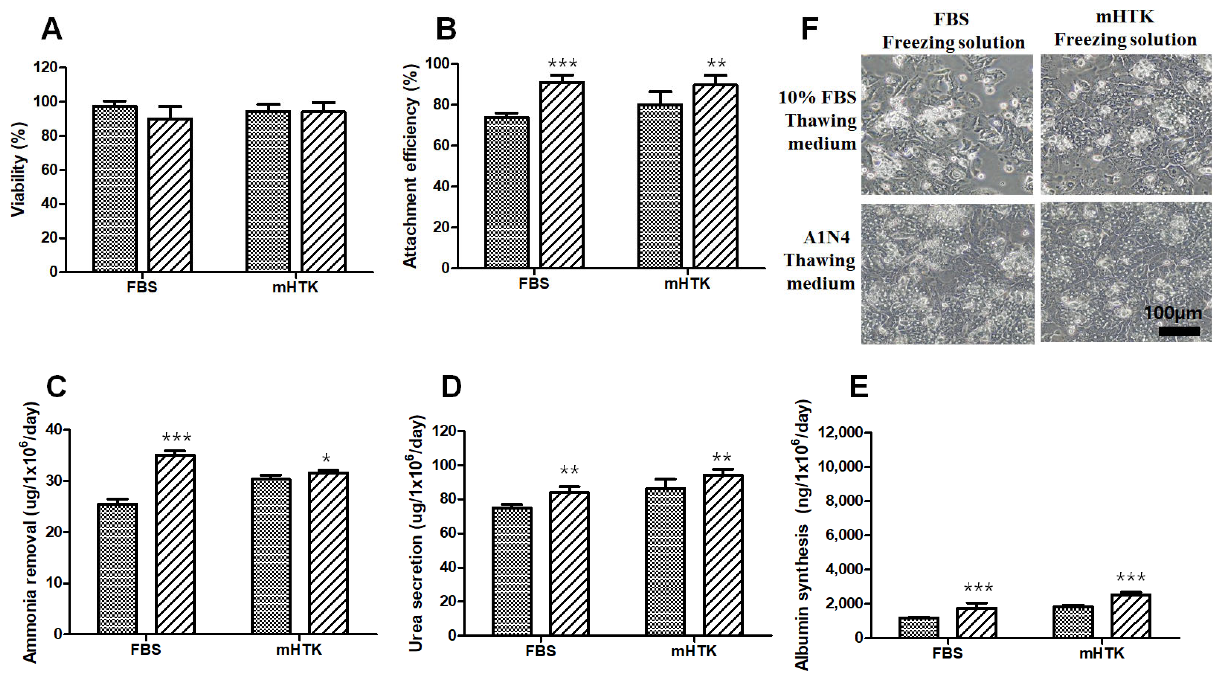 Bioengineering 09 00738 g006