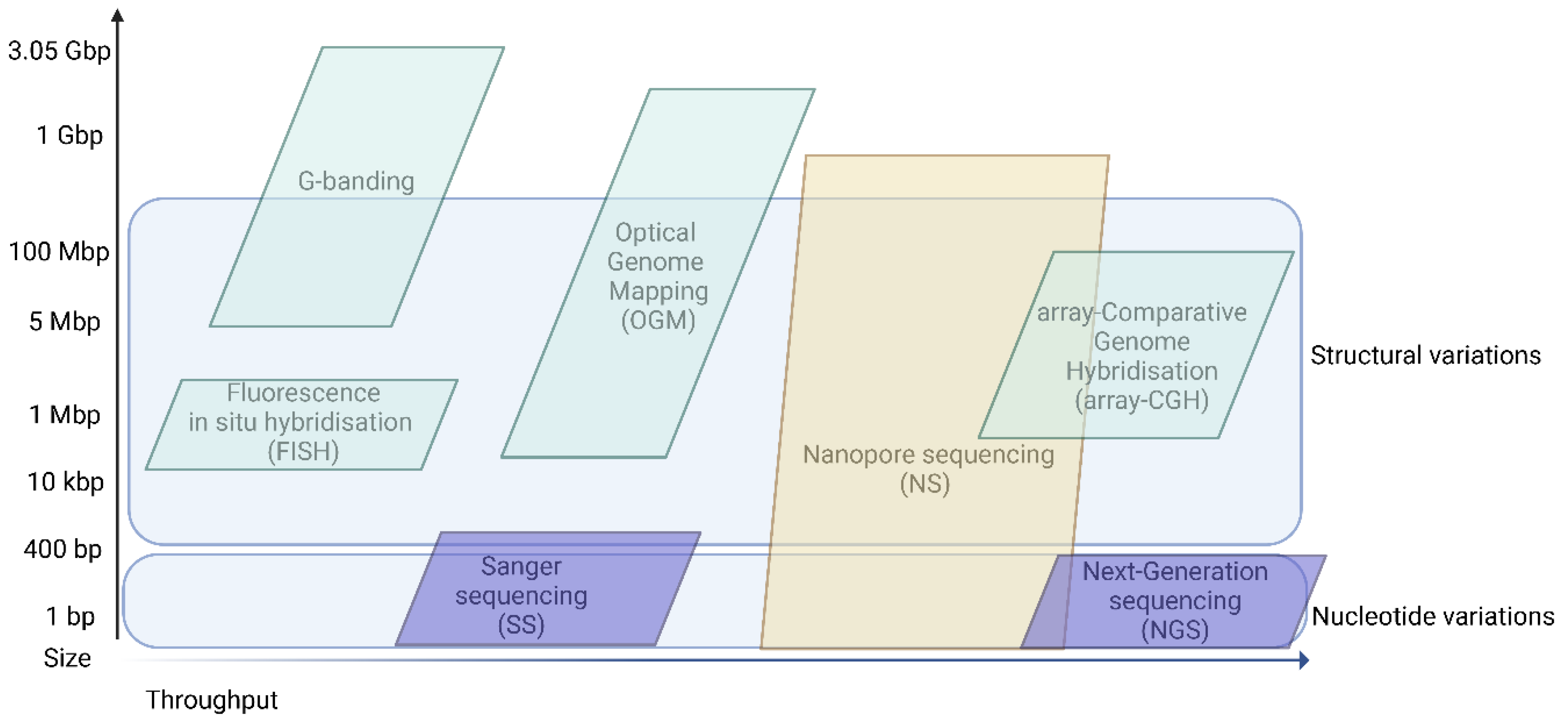 Bioengineering 09 00745 g001 Bioengineering 09 00745 g001