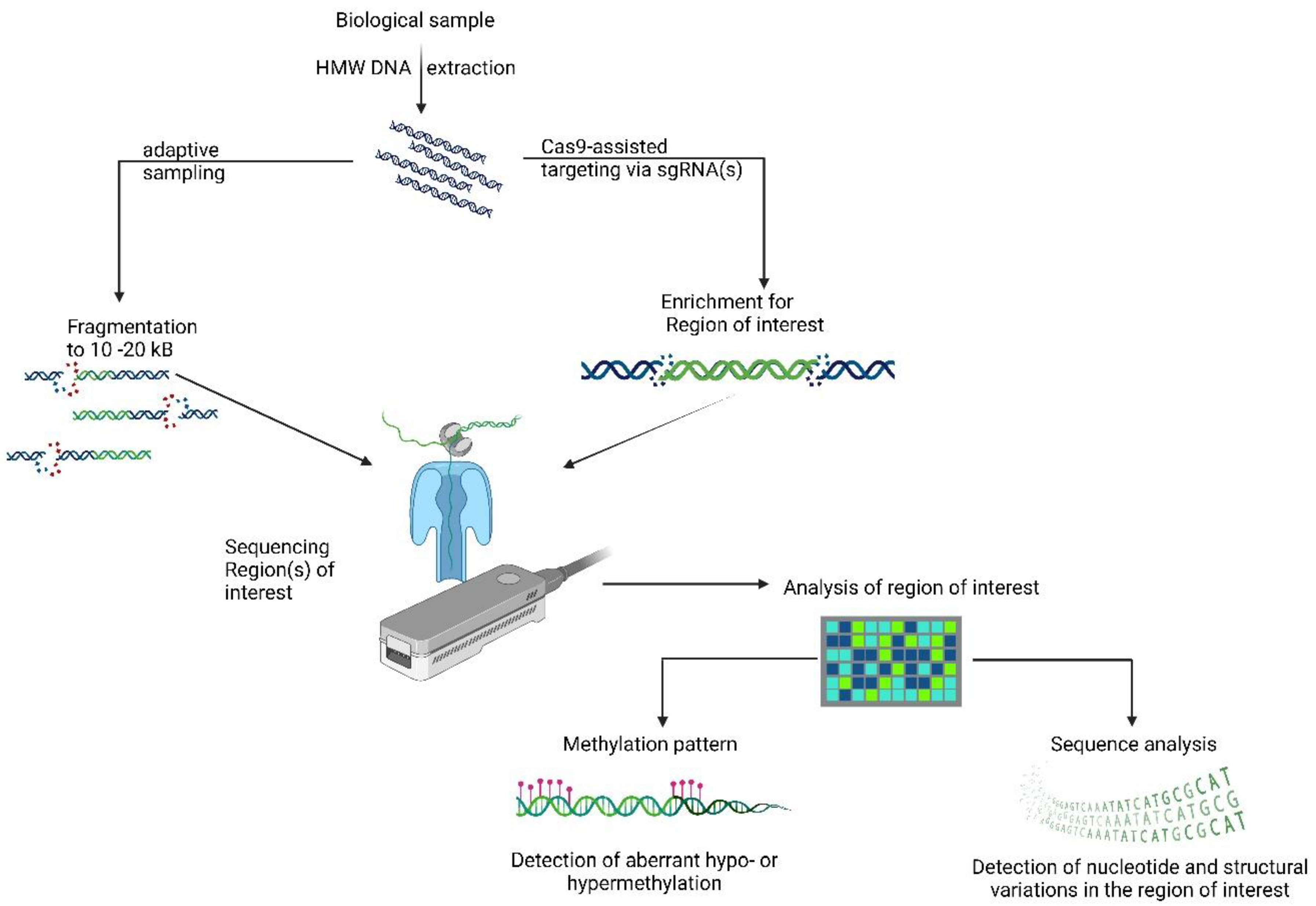 Bioengineering 09 00745 g002 Bioengineering 09 00745 g002