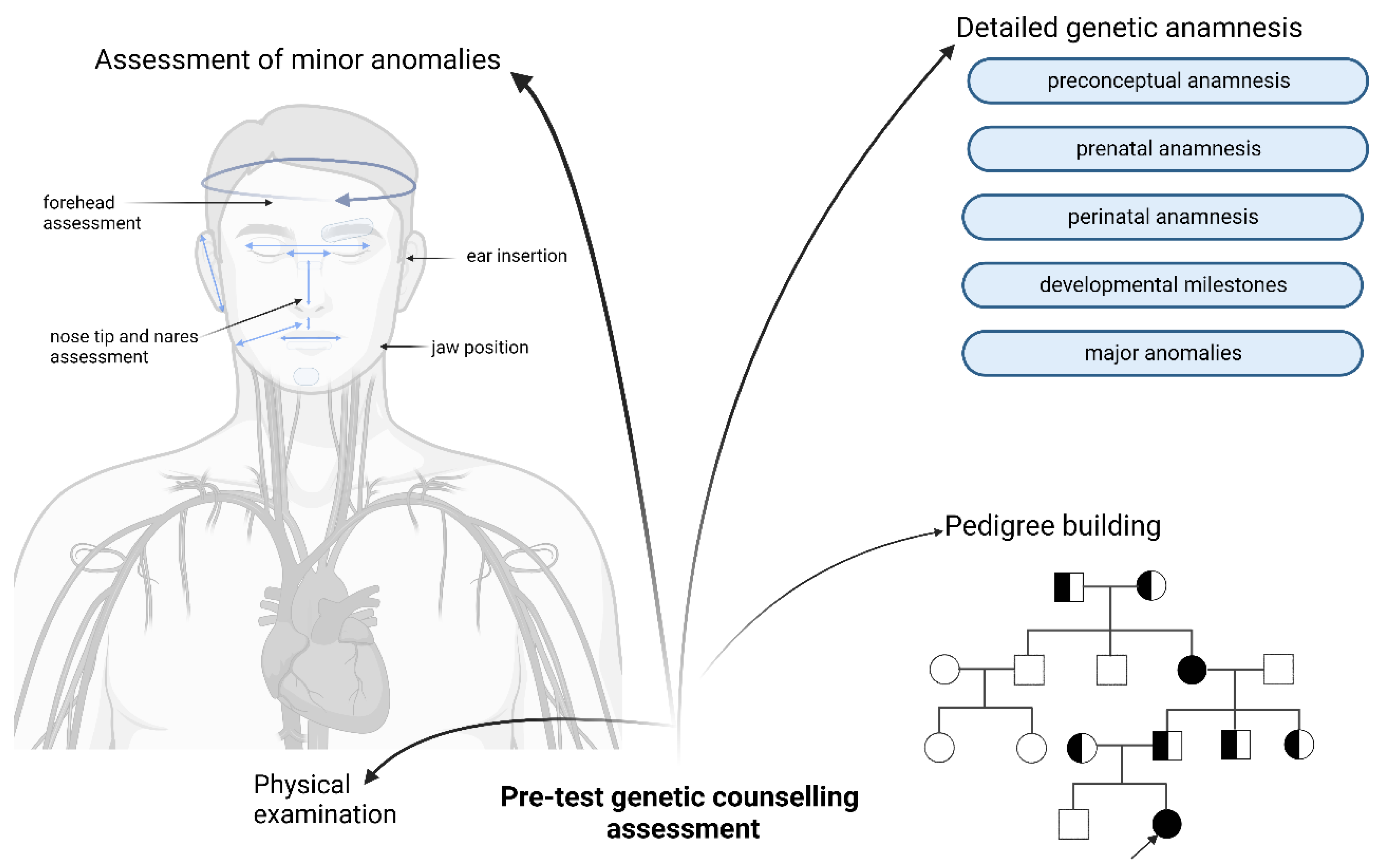 Bioengineering 09 00745 g004 Bioengineering 09 00745 g004