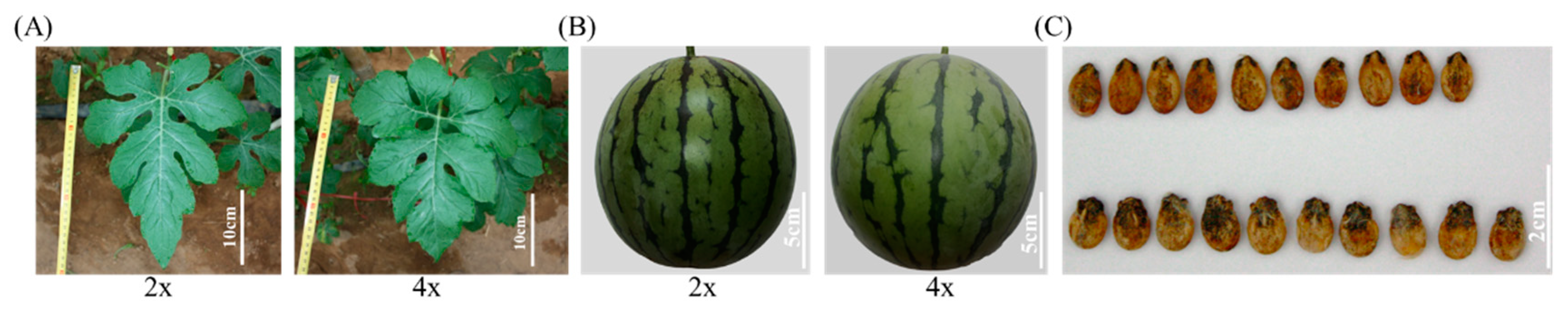 Bioengineering 09 00746 g002 Bioengineering 09 00746 g002