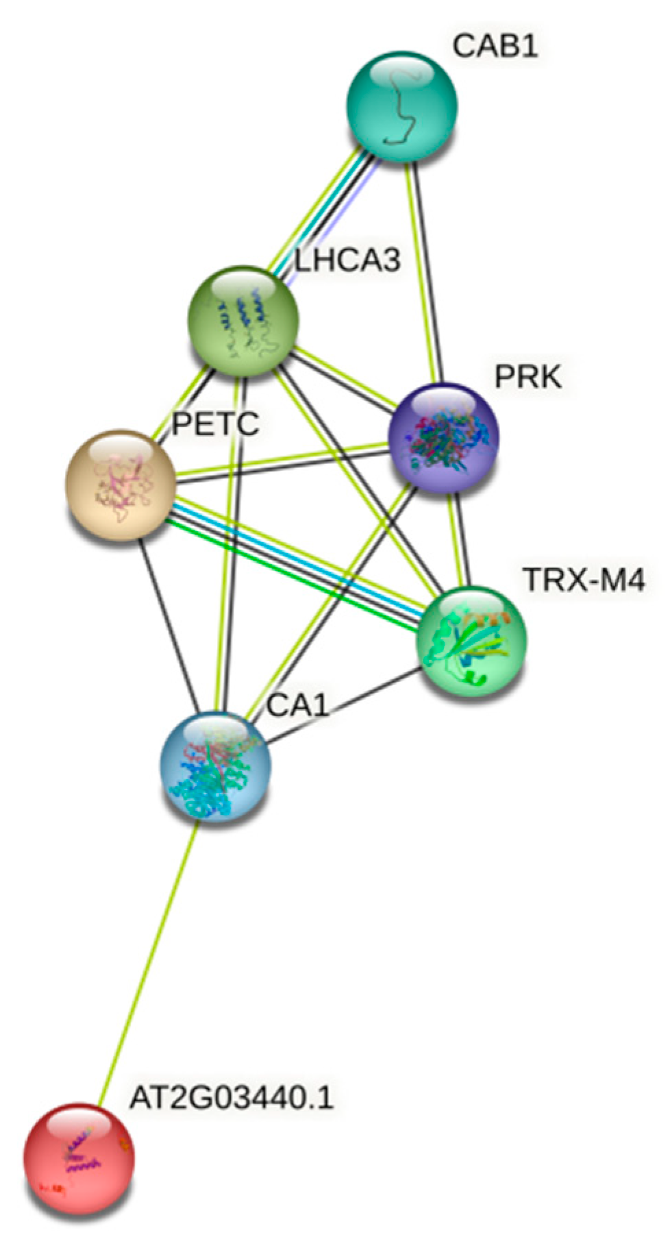 Bioengineering 09 00746 g005 Bioengineering 09 00746 g005