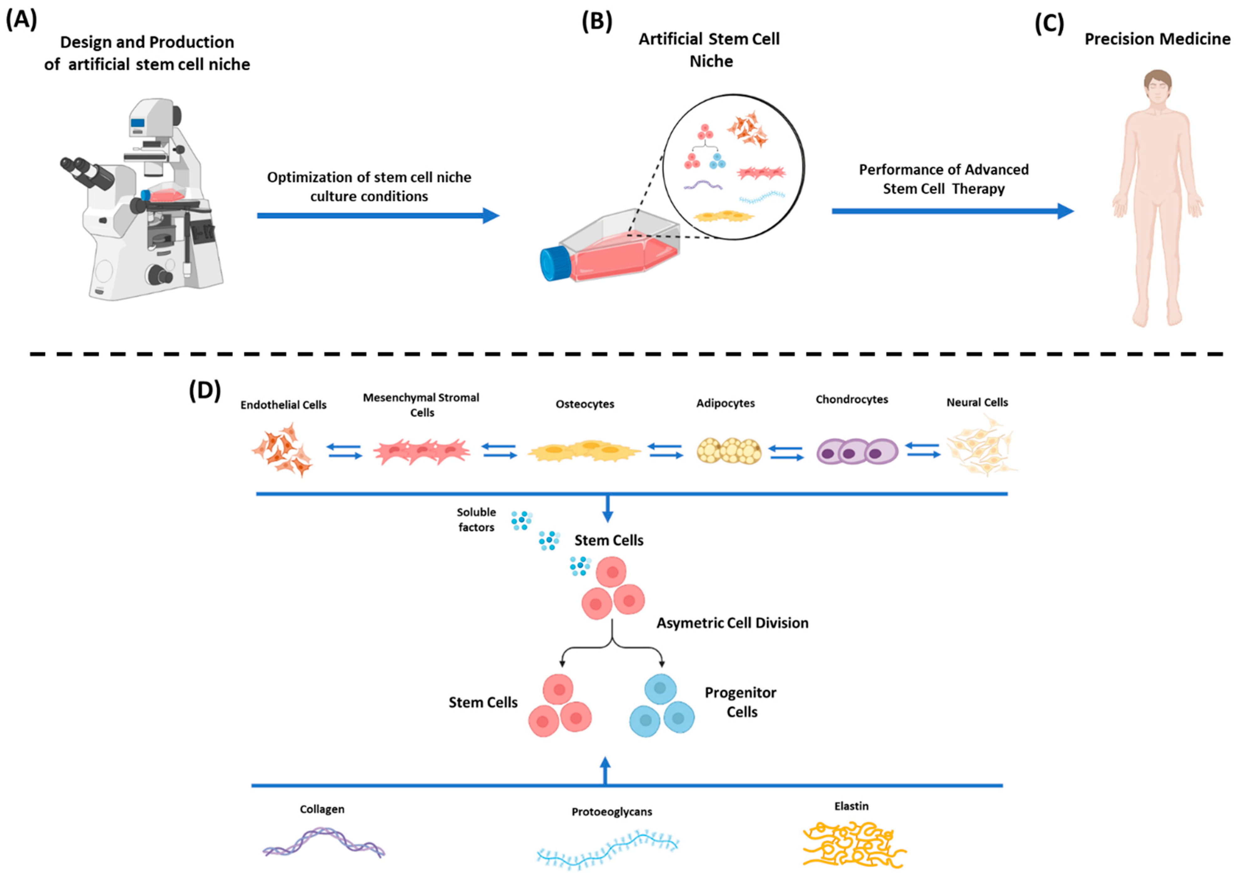 Bioengineering 09 00756 g001
