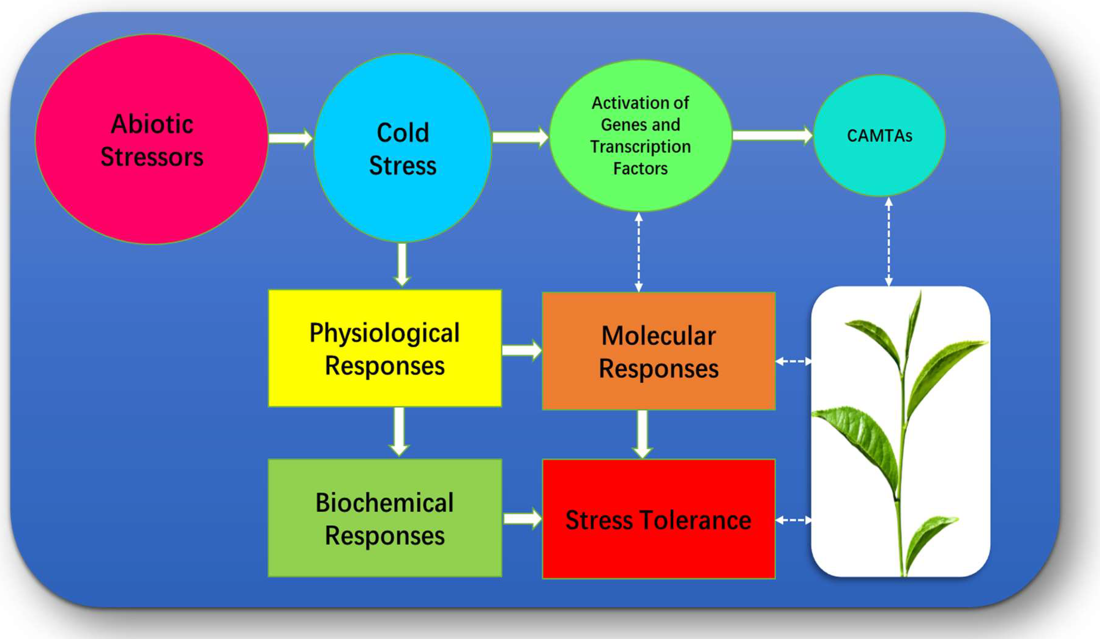 Bioengineering 09 00759 g002