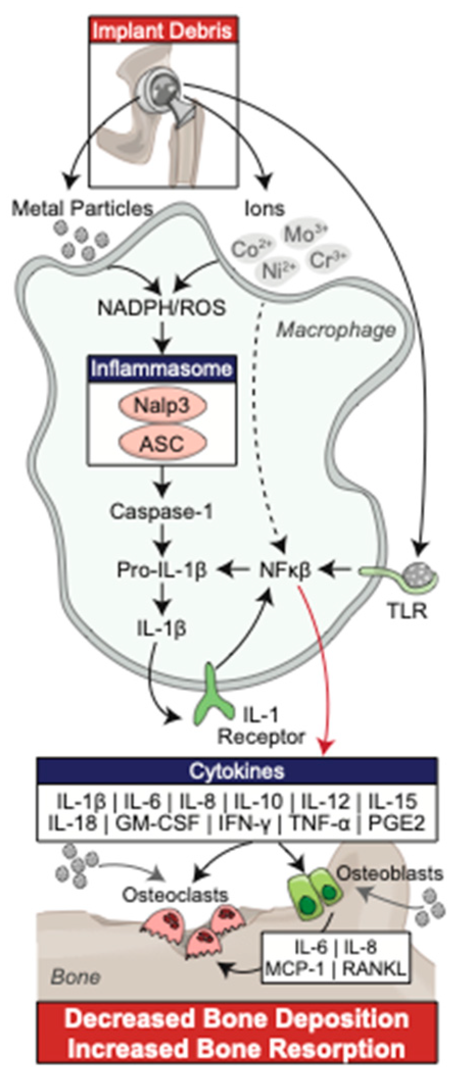 Bioengineering 09 00764 g002