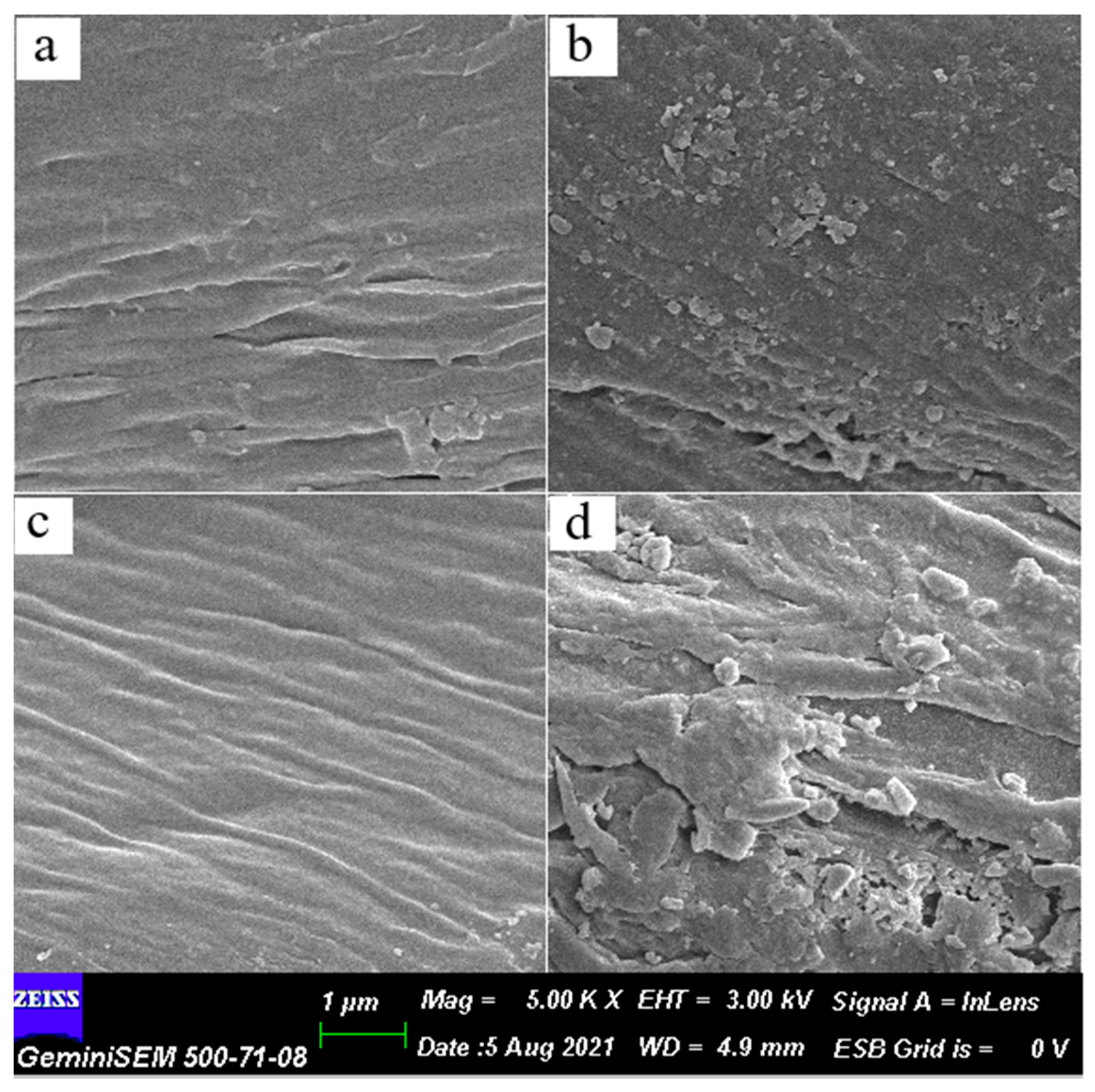 Bioengineering 09 00770 g004a Bioengineering 09 00770 g004a