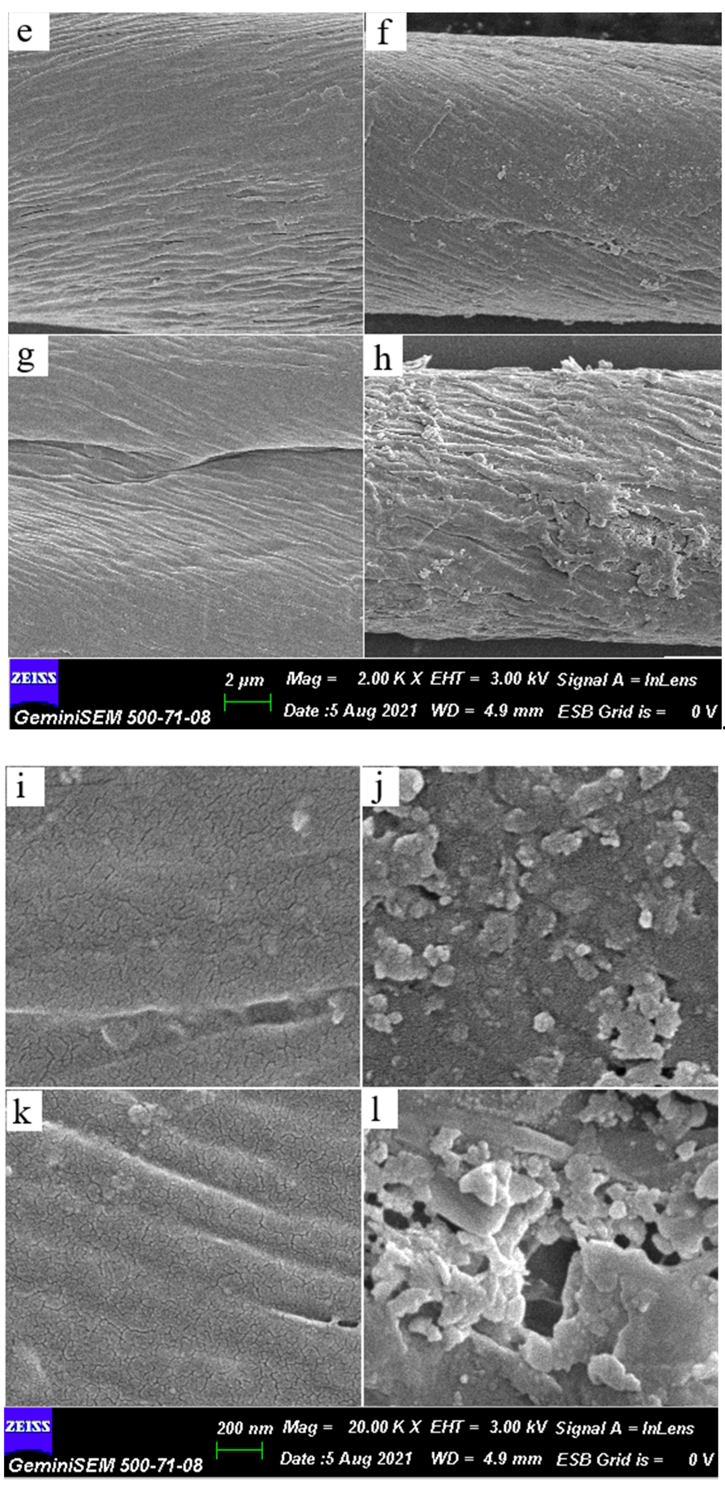Bioengineering 09 00770 g004b Bioengineering 09 00770 g004b