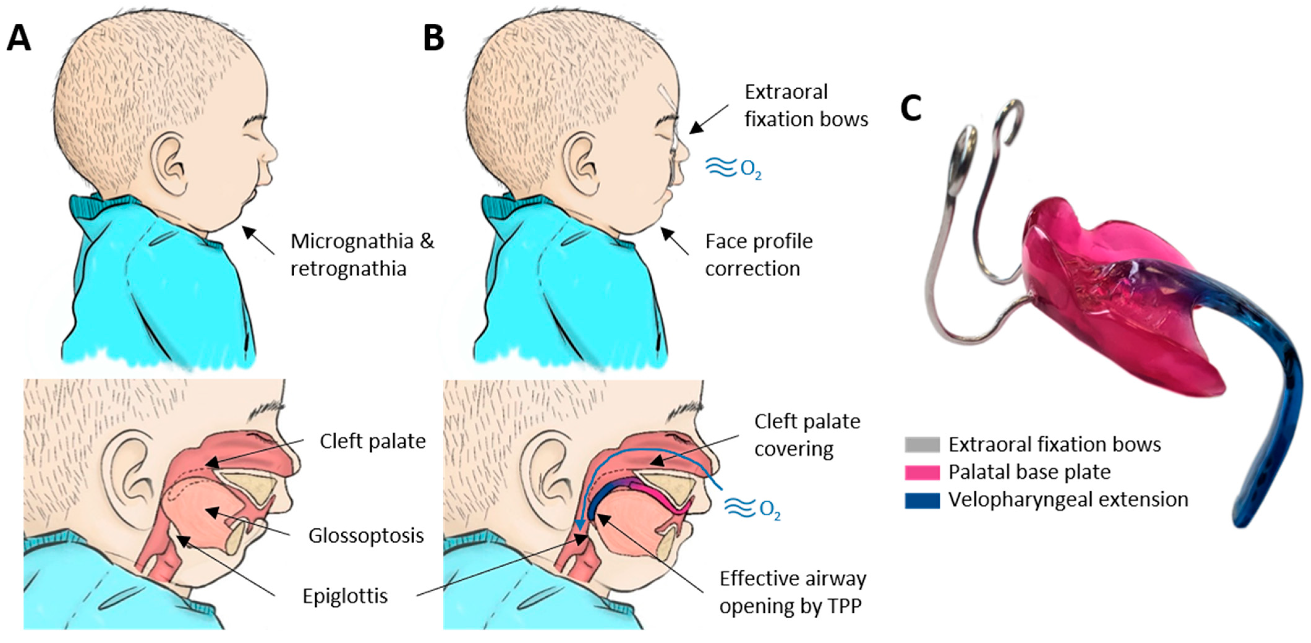 Bioengineering 09 00773 g001