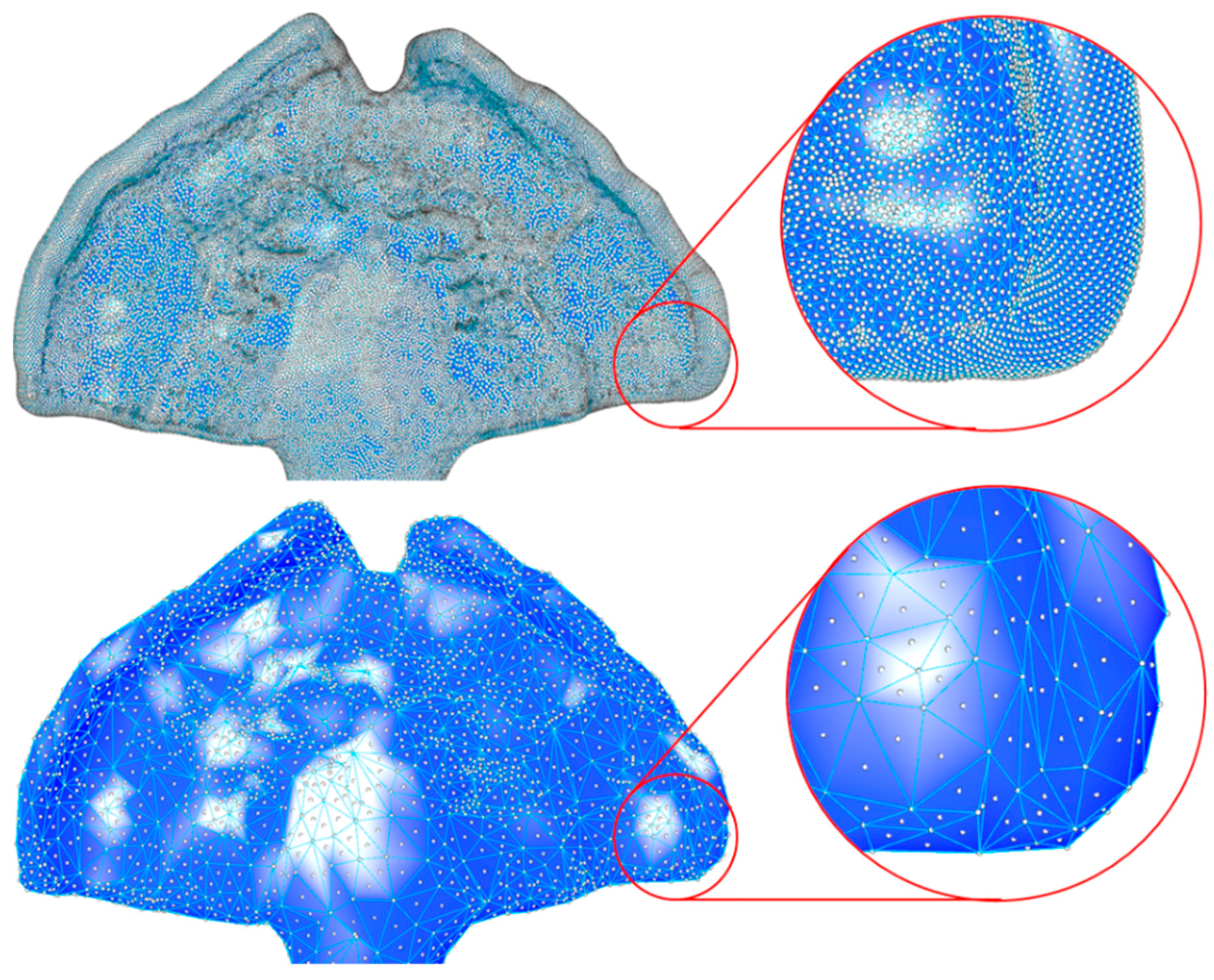 Bioengineering 09 00773 g006