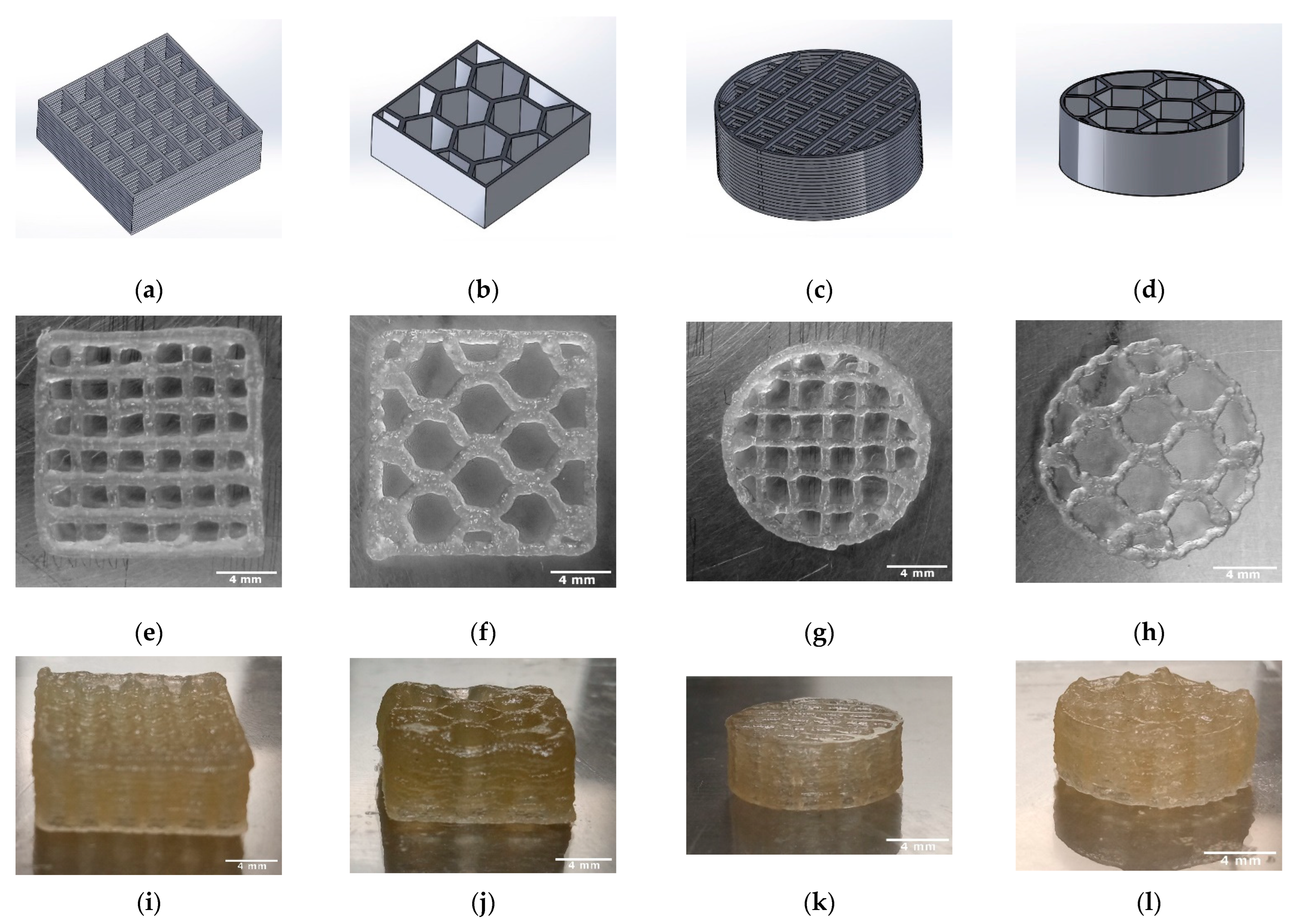Bioengineering 09 00780 g004