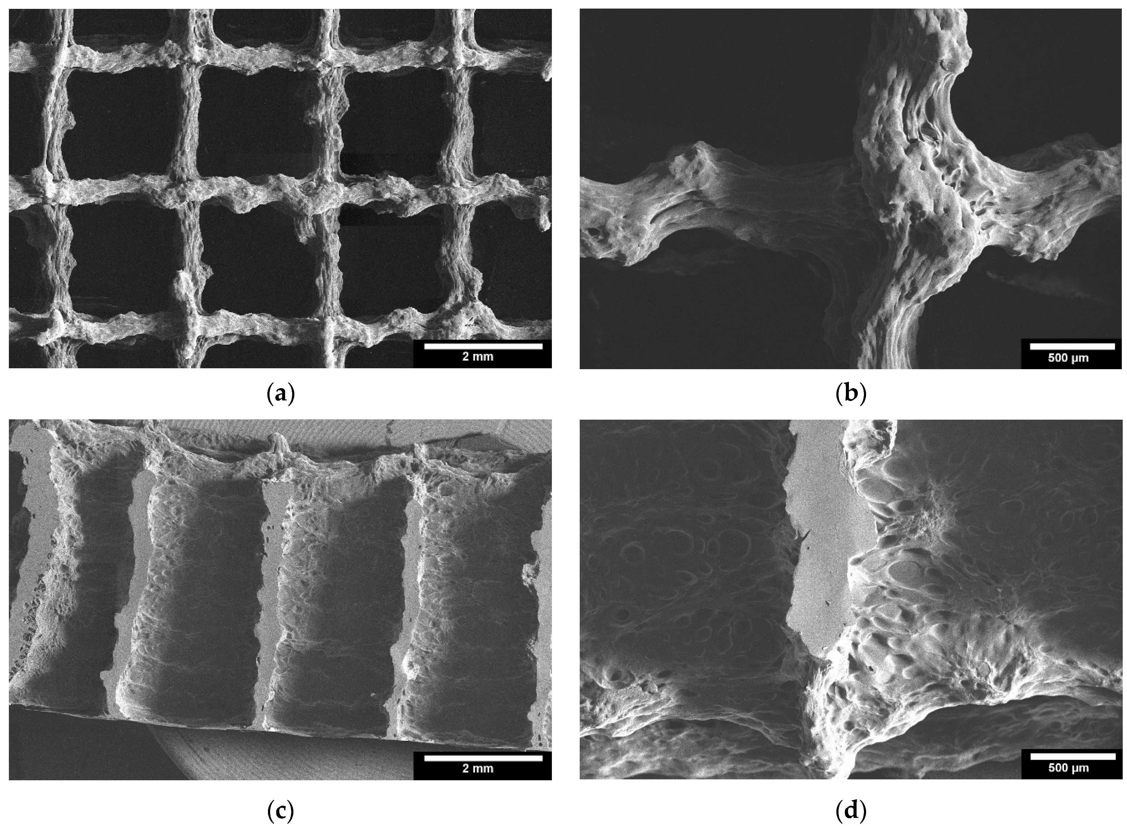 Bioengineering 09 00780 g006