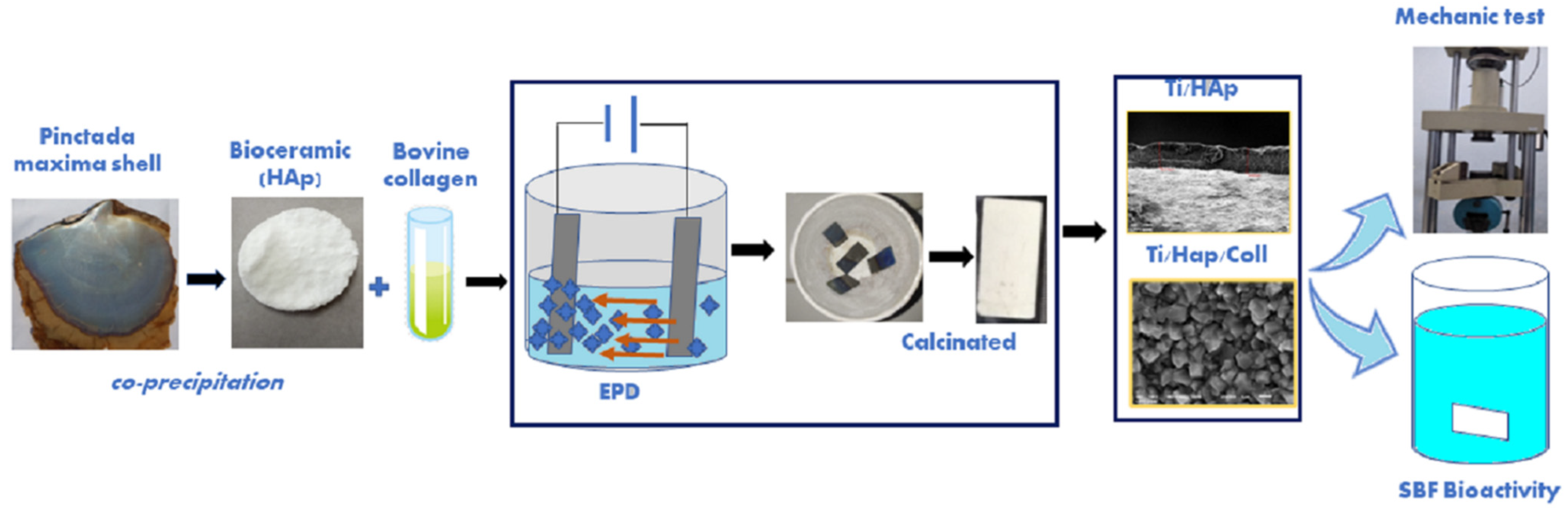 Bioengineering 09 00784 g001