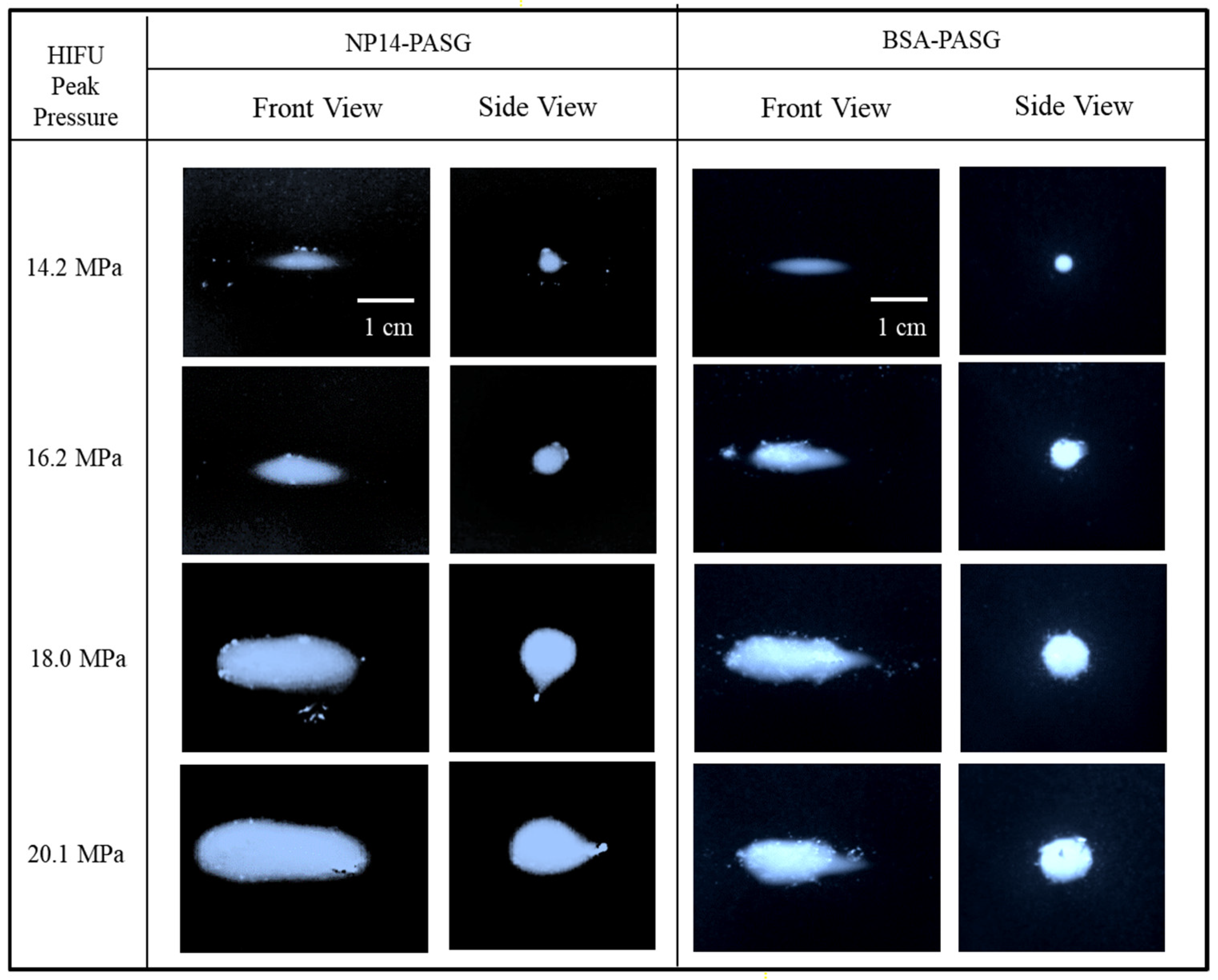 Bioengineering 09 00786 g003
