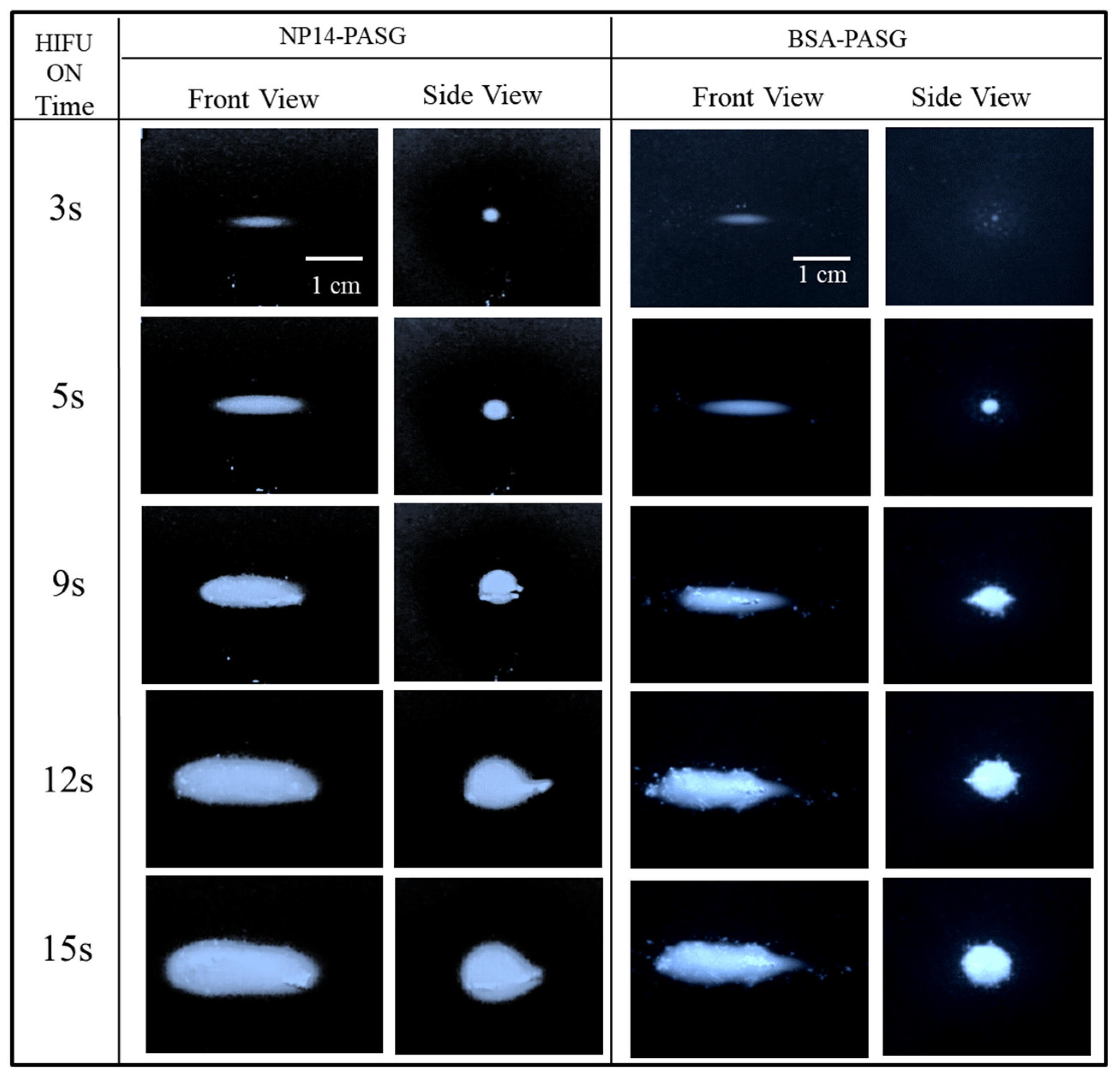 Bioengineering 09 00786 g004