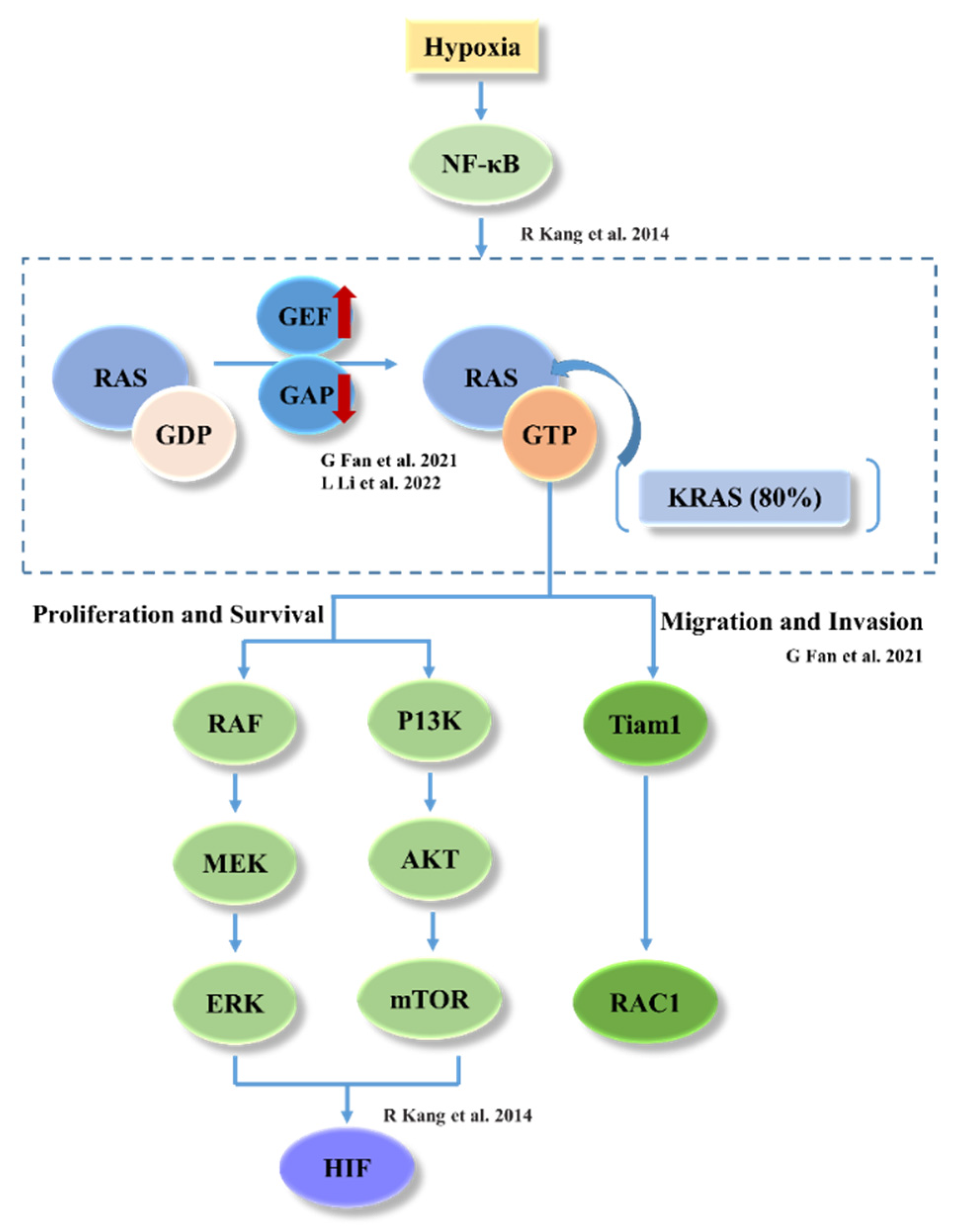 Bioengineering 09 00792 g006 Bioengineering 09 00792 g006