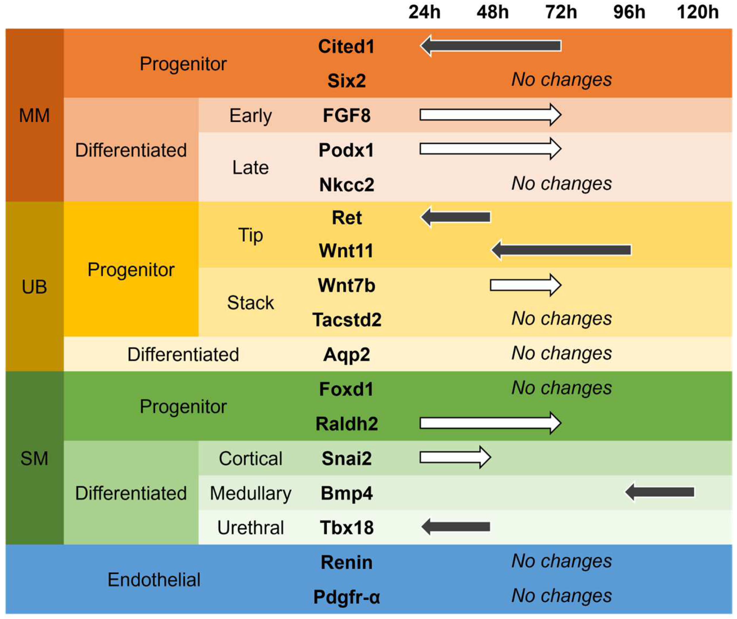 Bioengineering 09 00801 g007