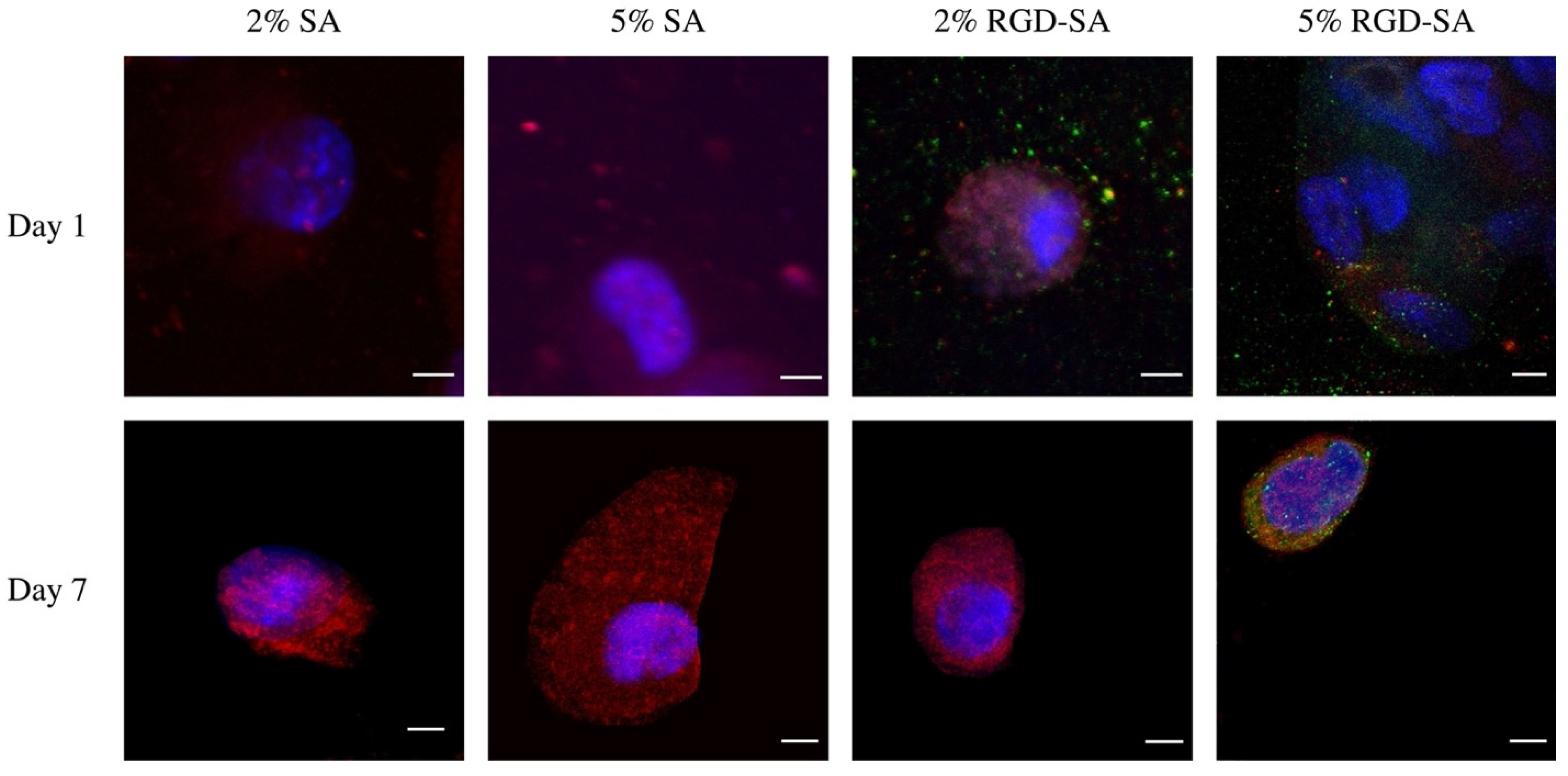 Bioengineering 09 00807 g005