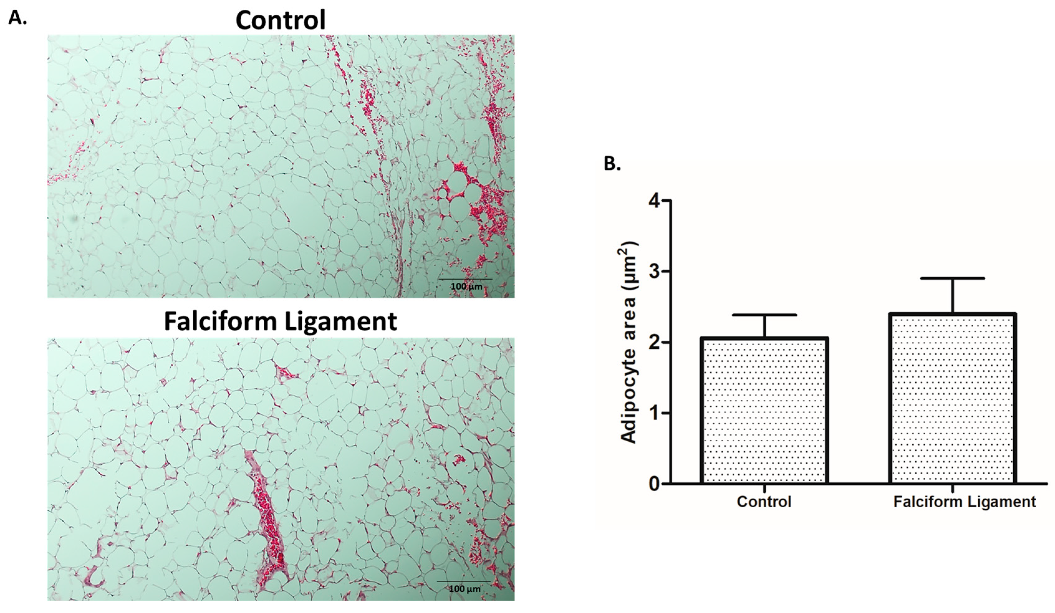 Bioengineering 09 00810 g001