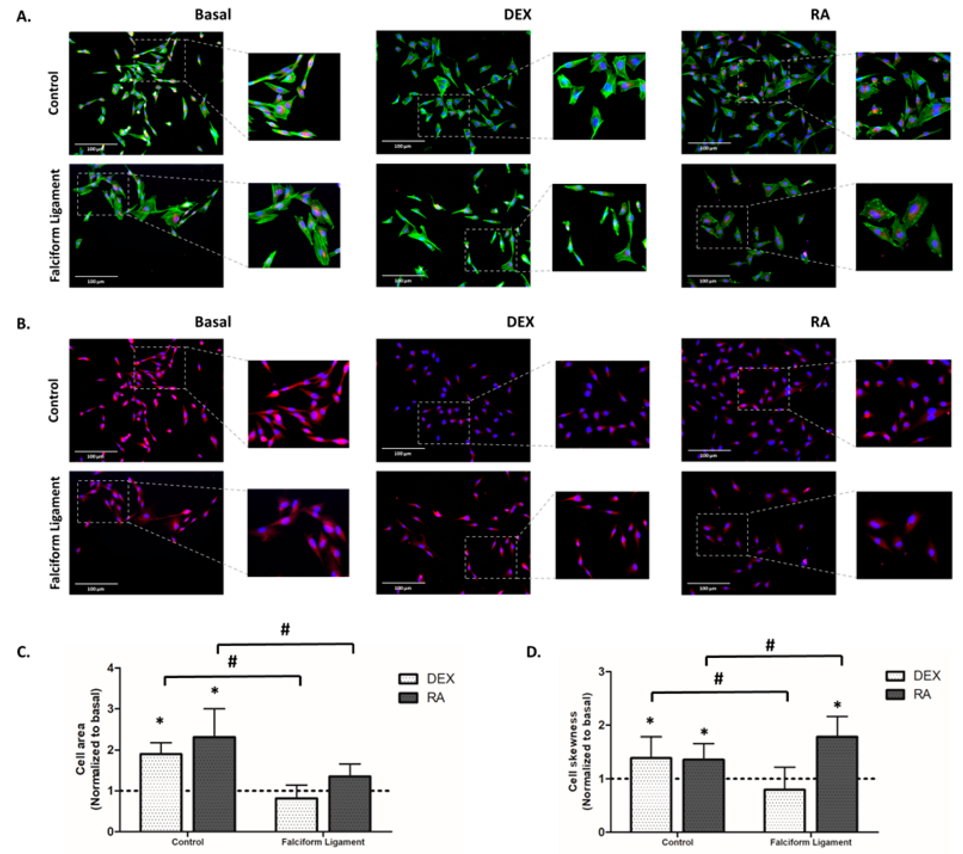 Bioengineering 09 00810 g003