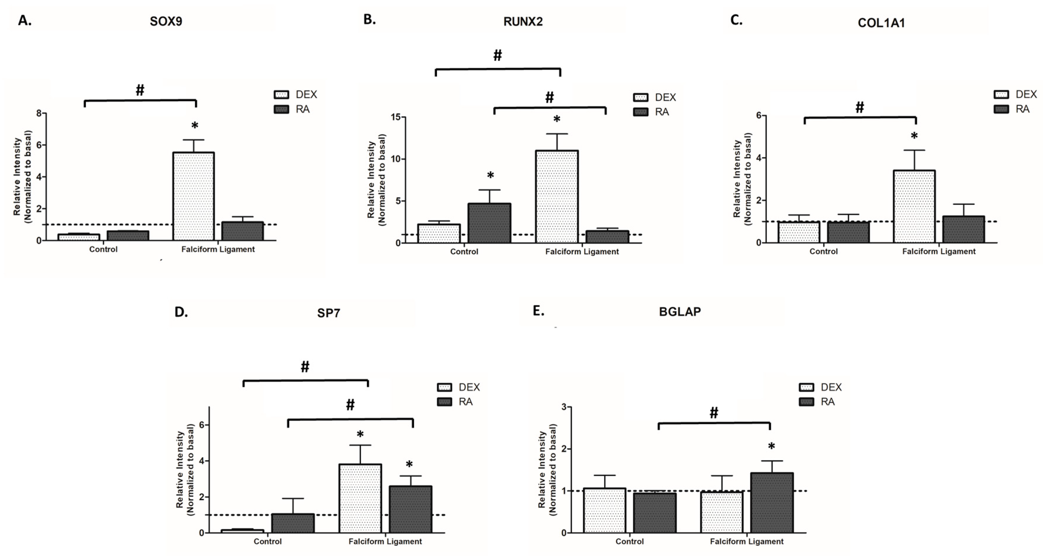 Bioengineering 09 00810 g004