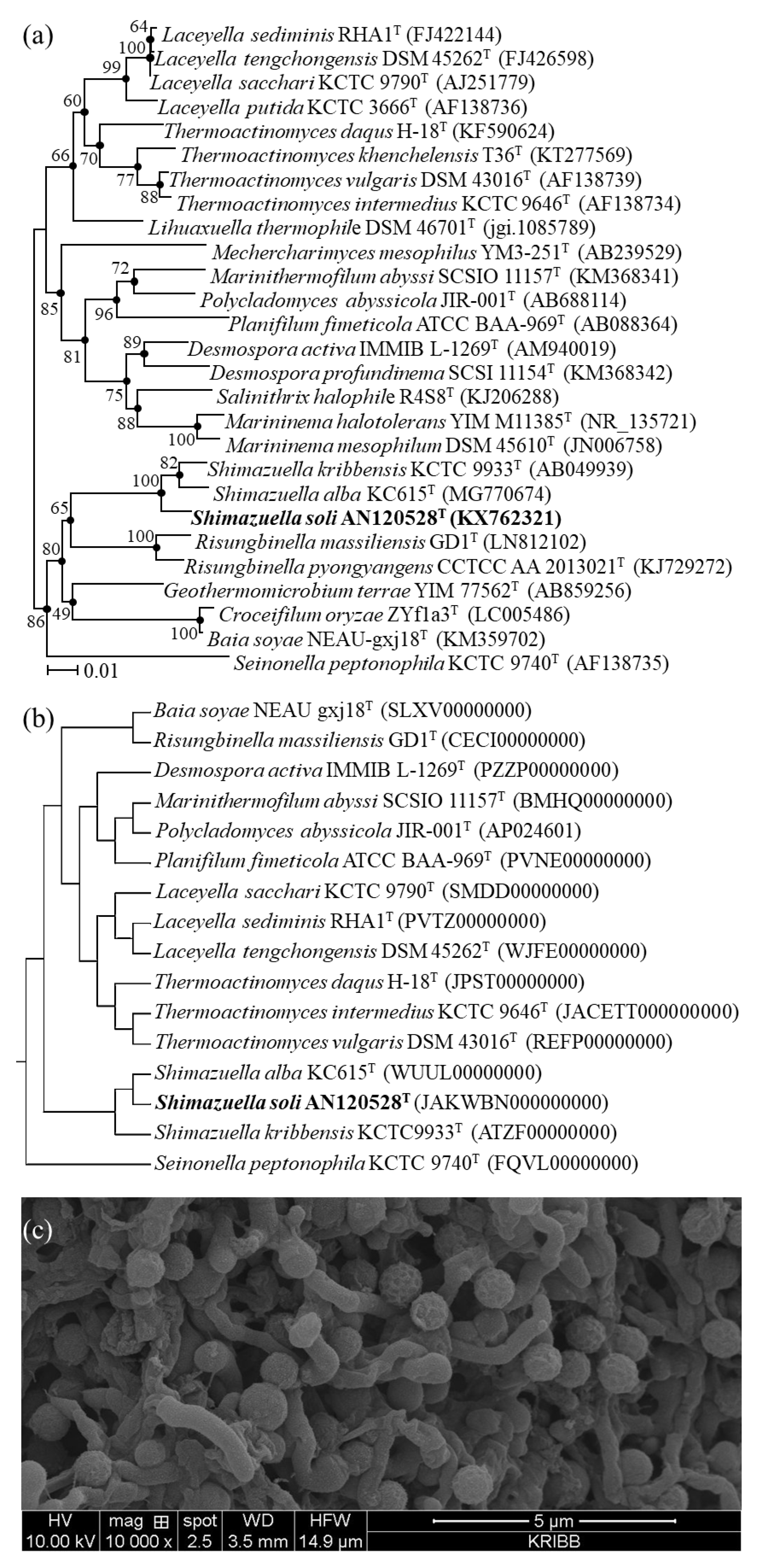 Bioengineering 09 00812 g001 Bioengineering 09 00812 g001