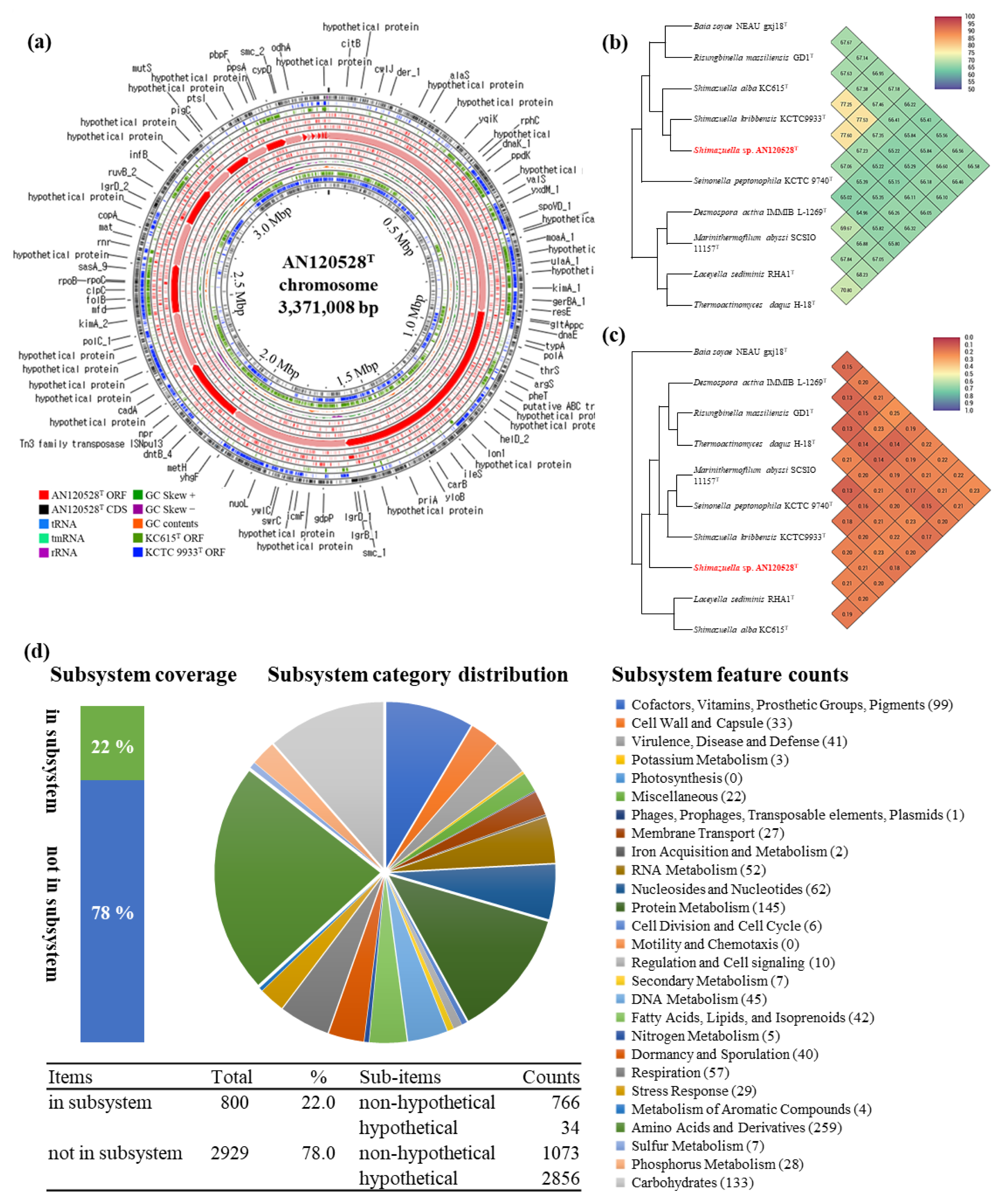 Bioengineering 09 00812 g003 Bioengineering 09 00812 g003