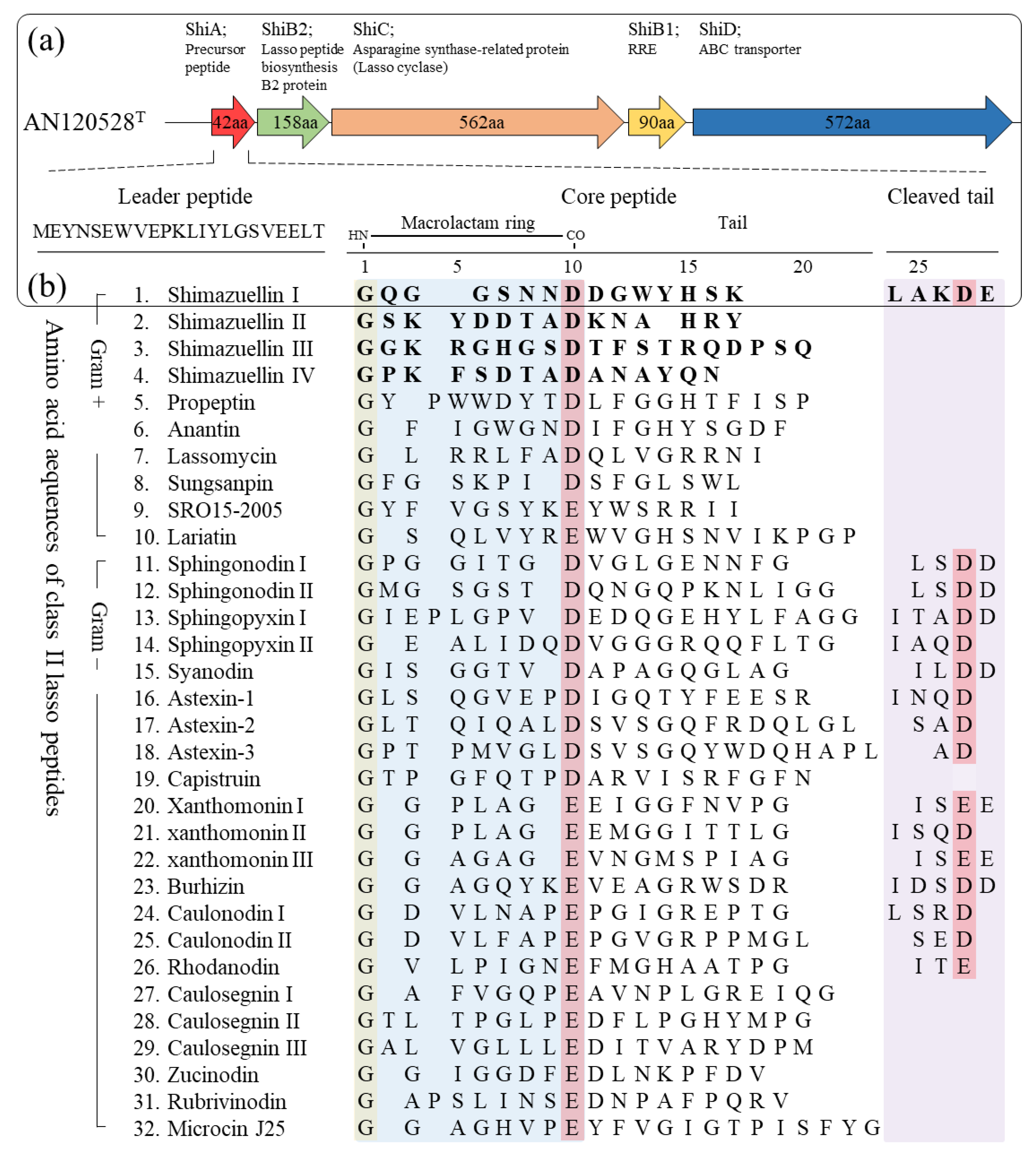 Bioengineering 09 00812 g004 Bioengineering 09 00812 g004